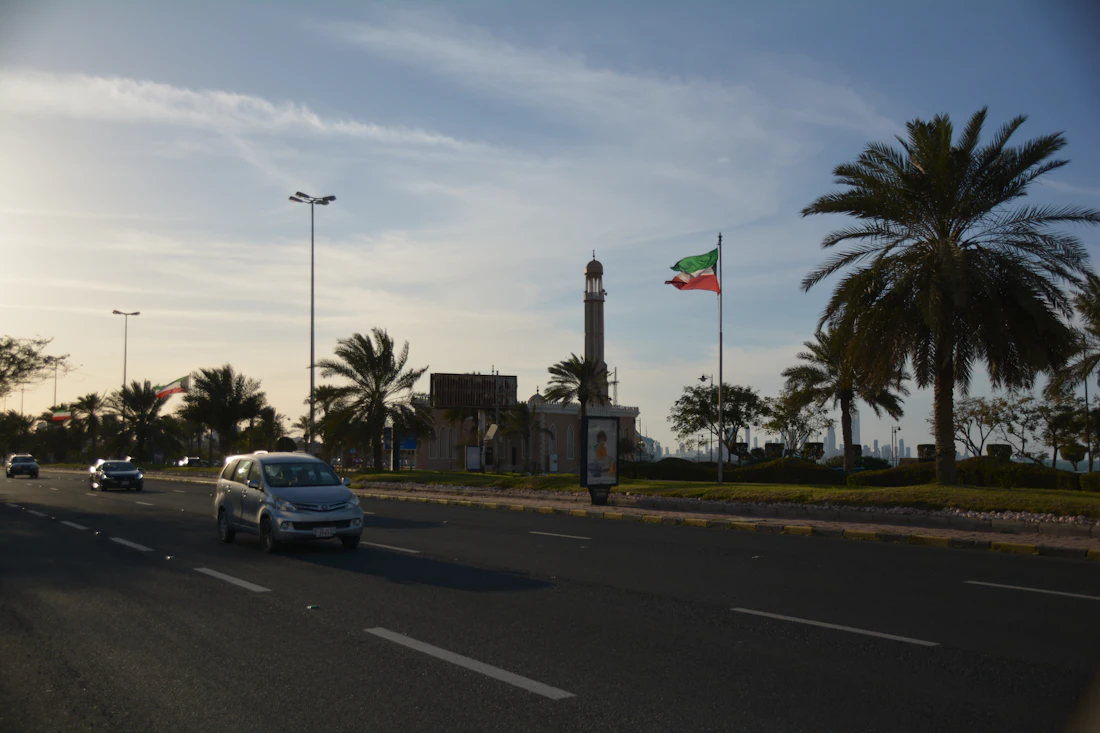 A palm-lined street in Djibouti City
