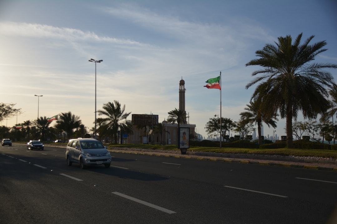 A car driving down a street next to palm trees,