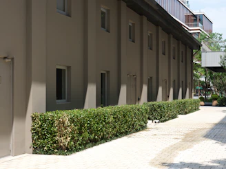 A building that has a bunch of bushes in front of it