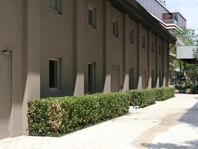 A building that has a bunch of bushes in front of it