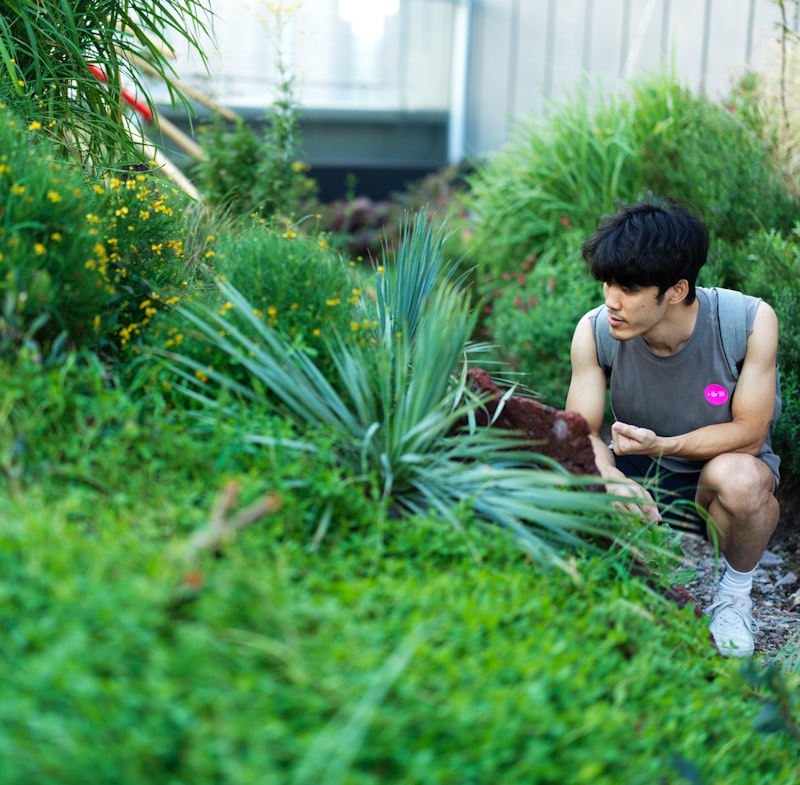 Tuinaanleg – weelderige kleurrijke bloementuin in volle bloei
