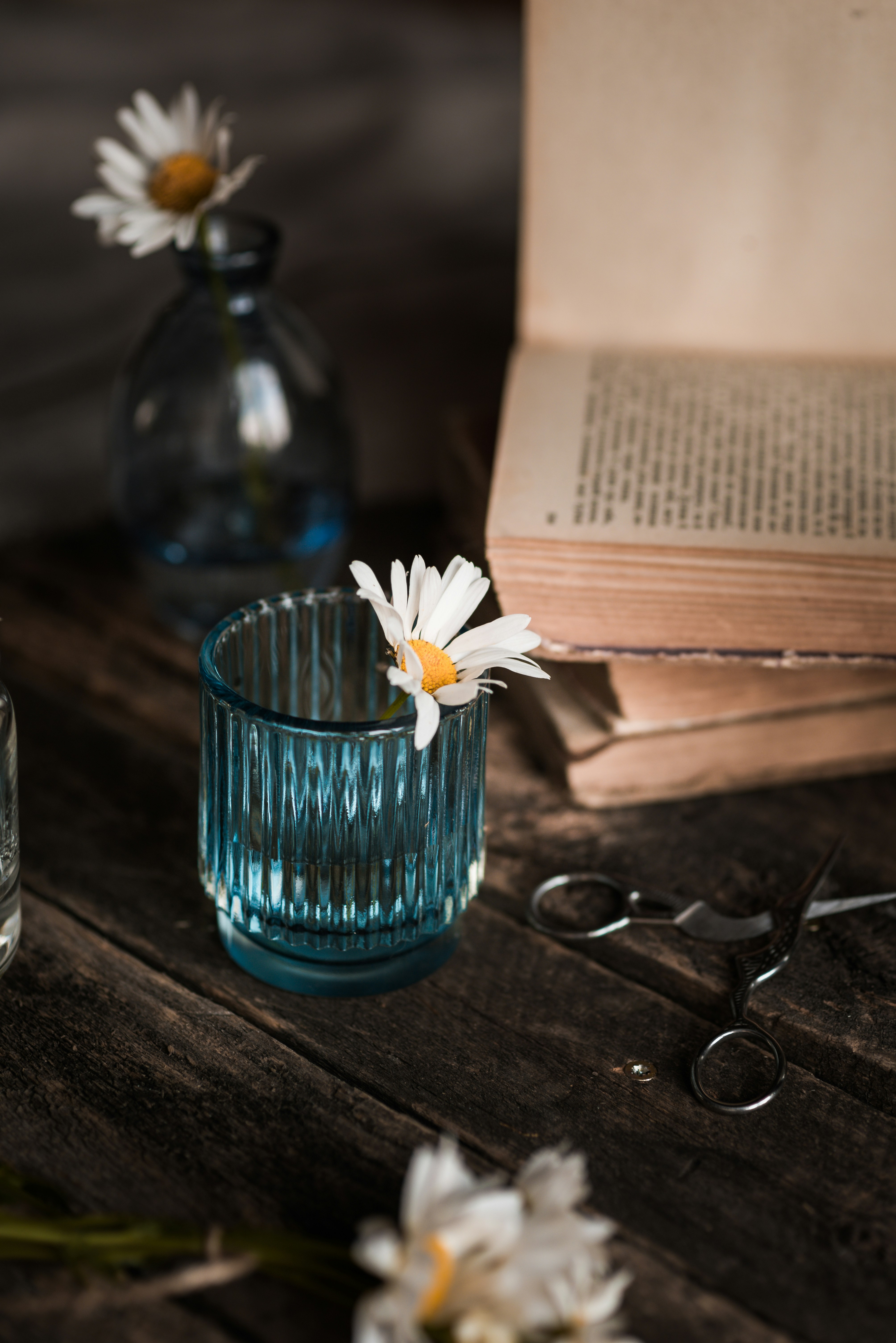 Eine Glasvase mit Gänseblümchen, die auf einem Tisch neben einem Buch sitzt