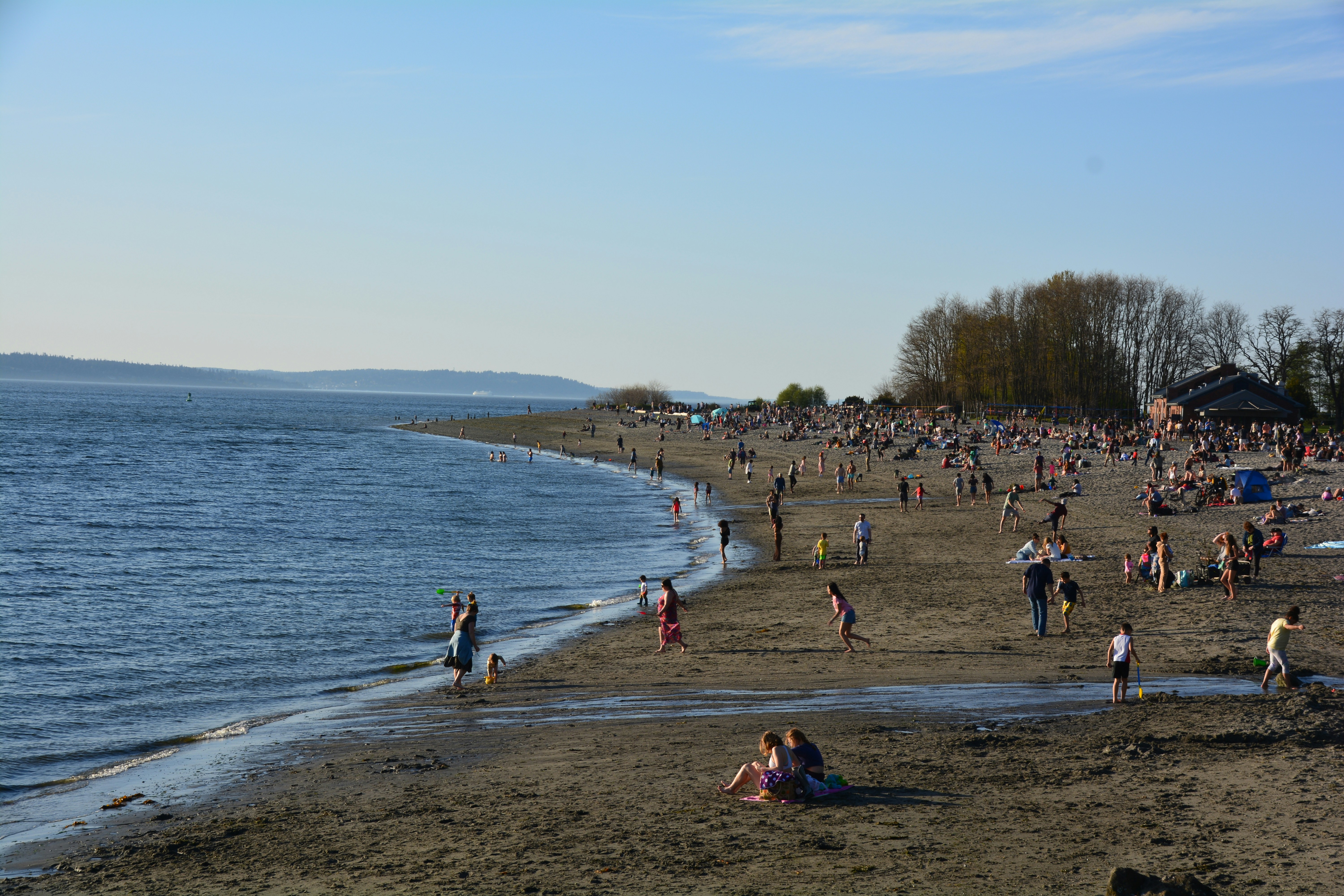 A large group of people are on the beach, 