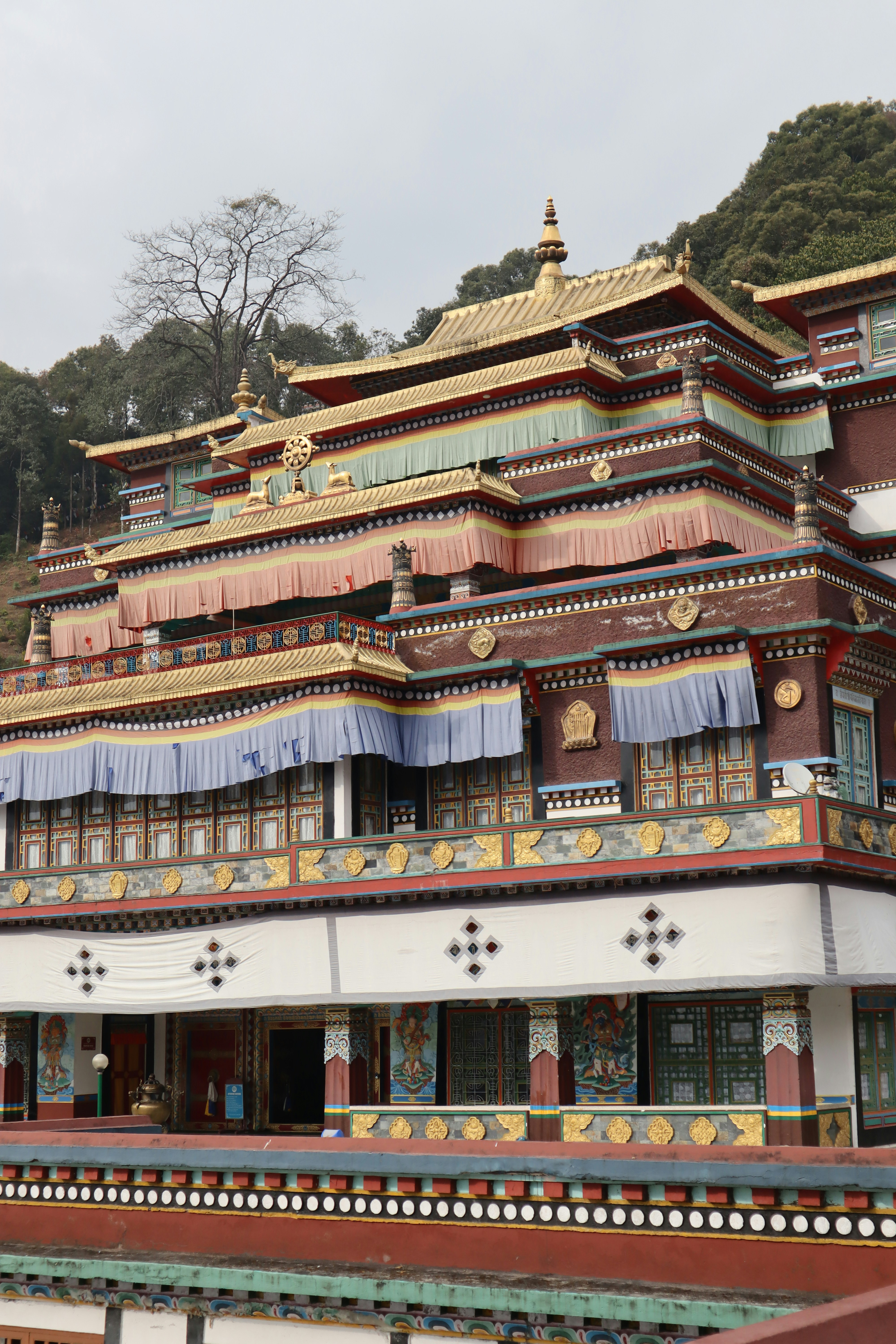 Photo by aditya_sethia_97