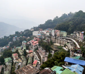 Pelling