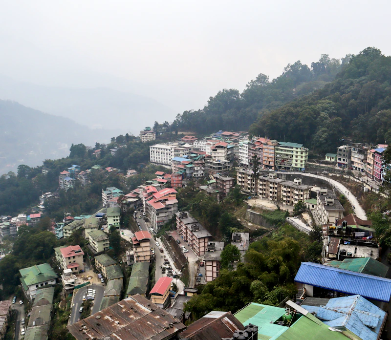 The Perfect One-Day Itinerary in Pelling: Where to Go and When