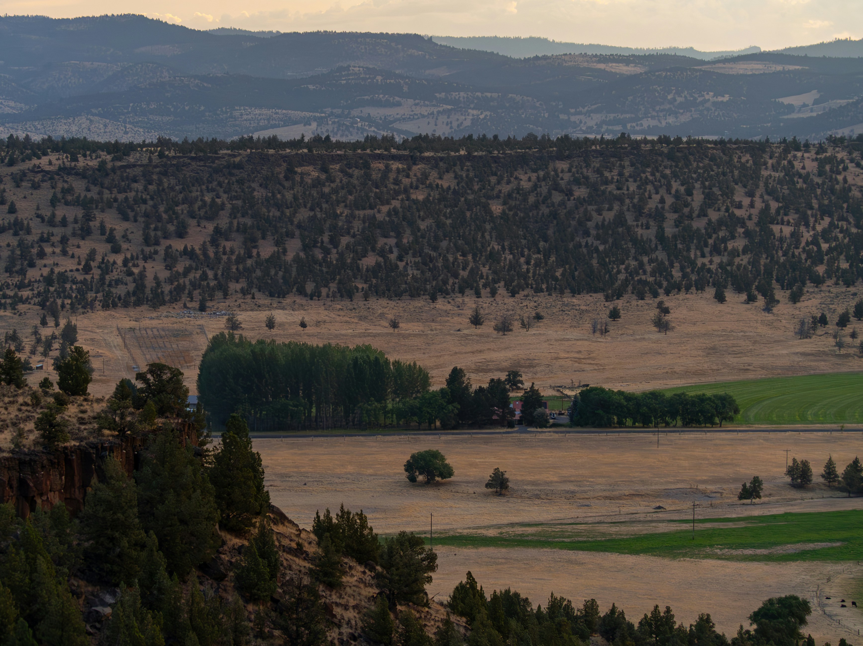 Photo by jamessestric