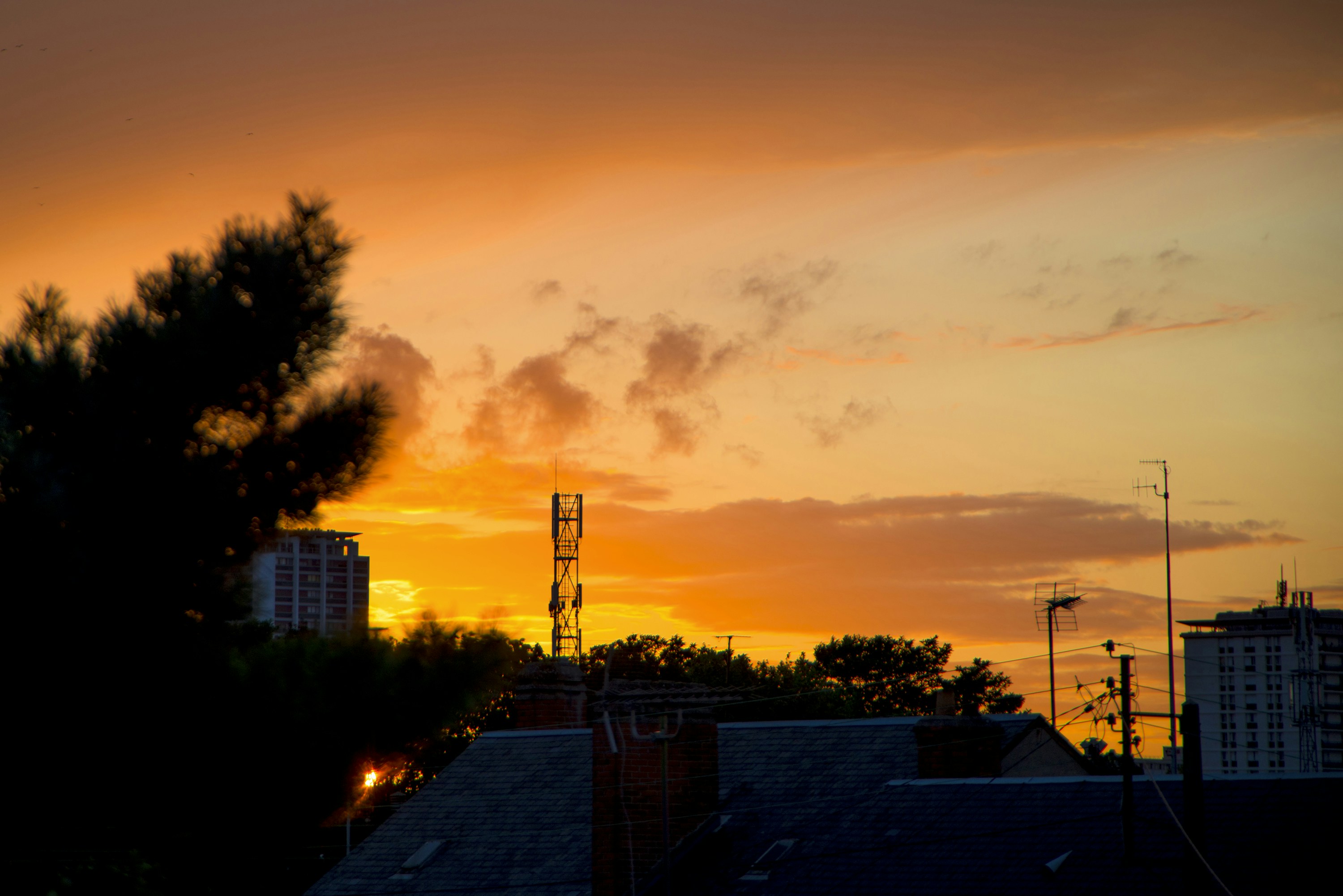 Photo by sshuai117