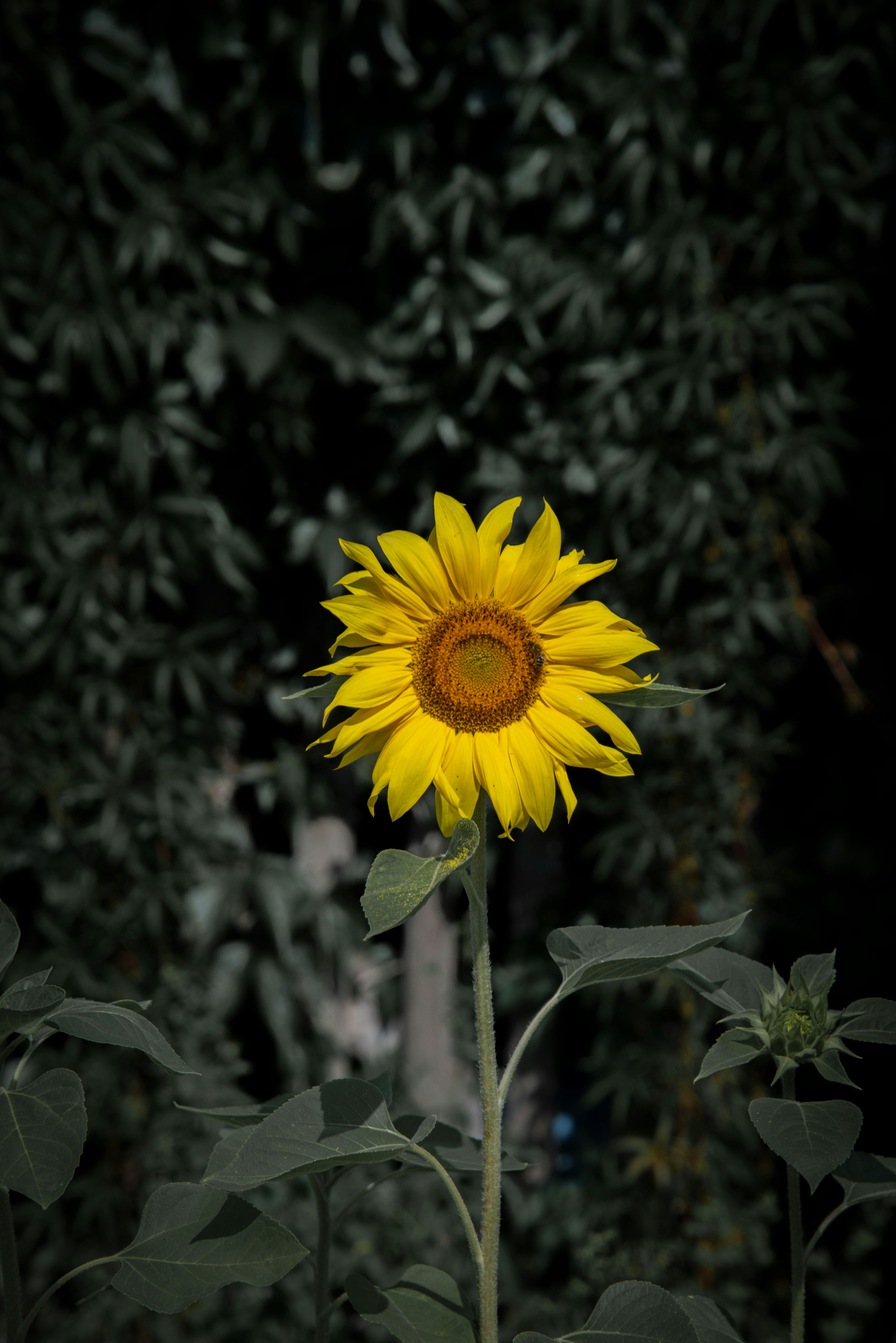 Photo by malwinanogaj