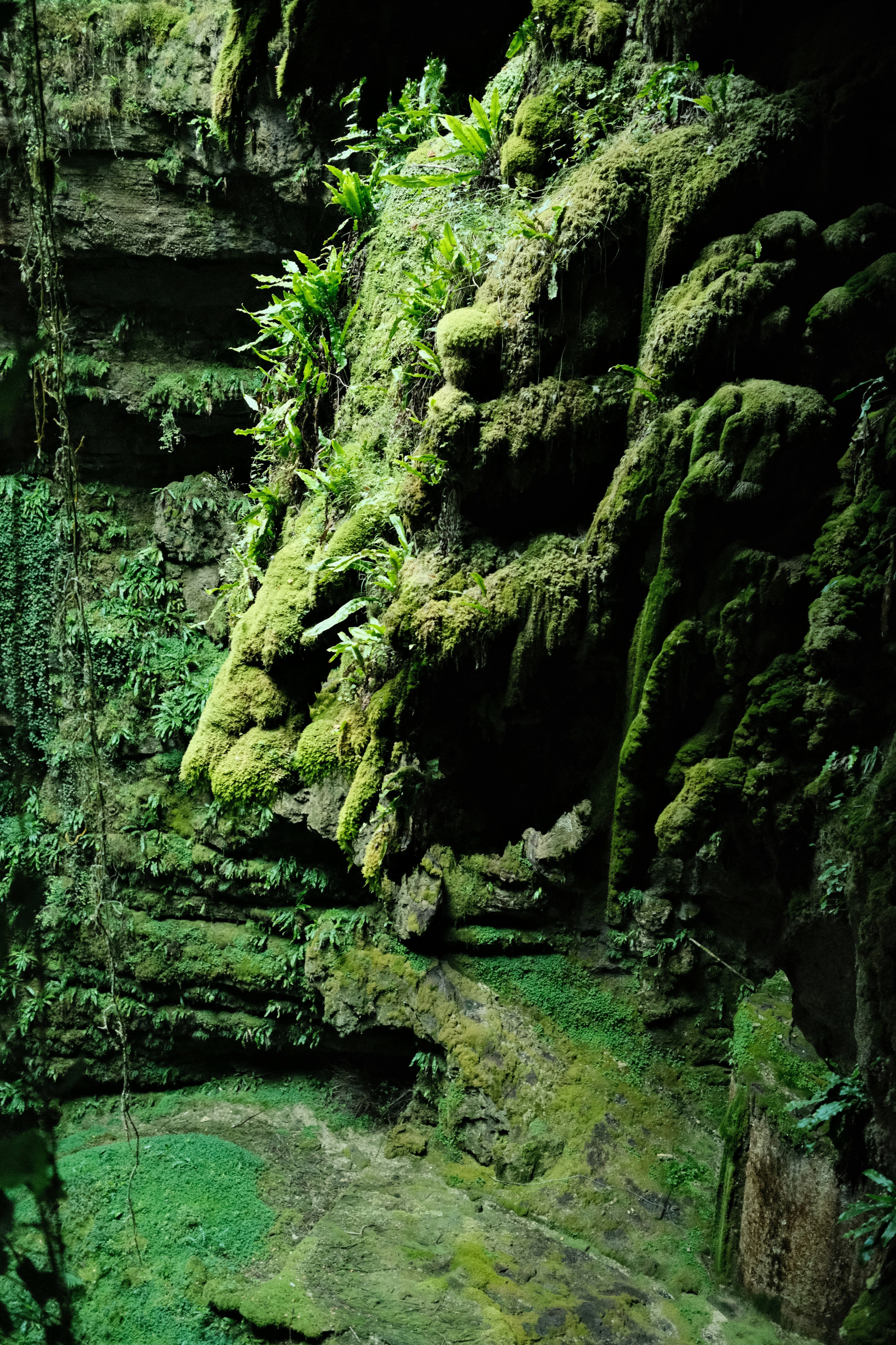 Photo by sacephotography