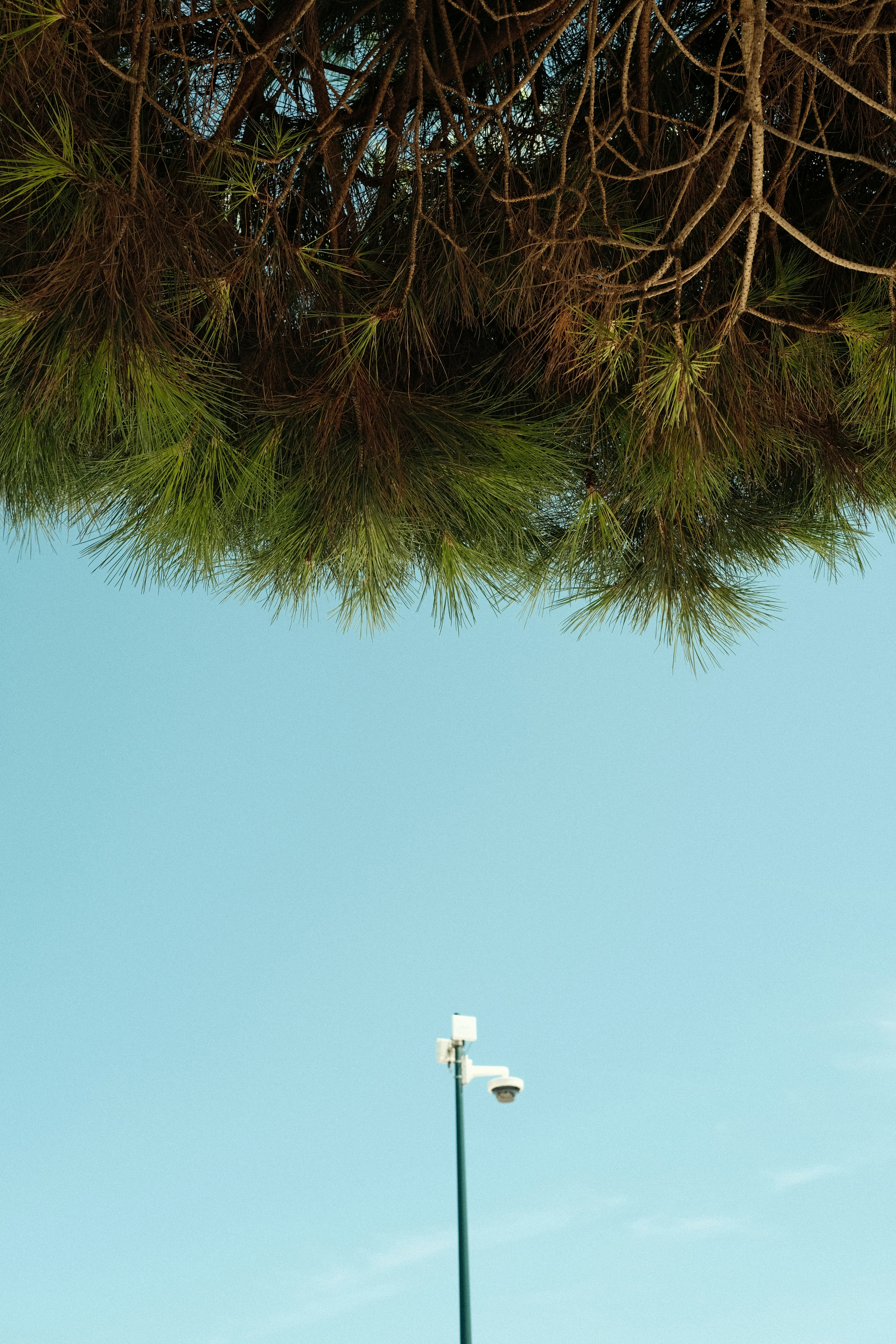 Photo by sacephotography