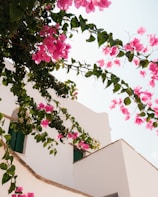A white building with pink flowers on it