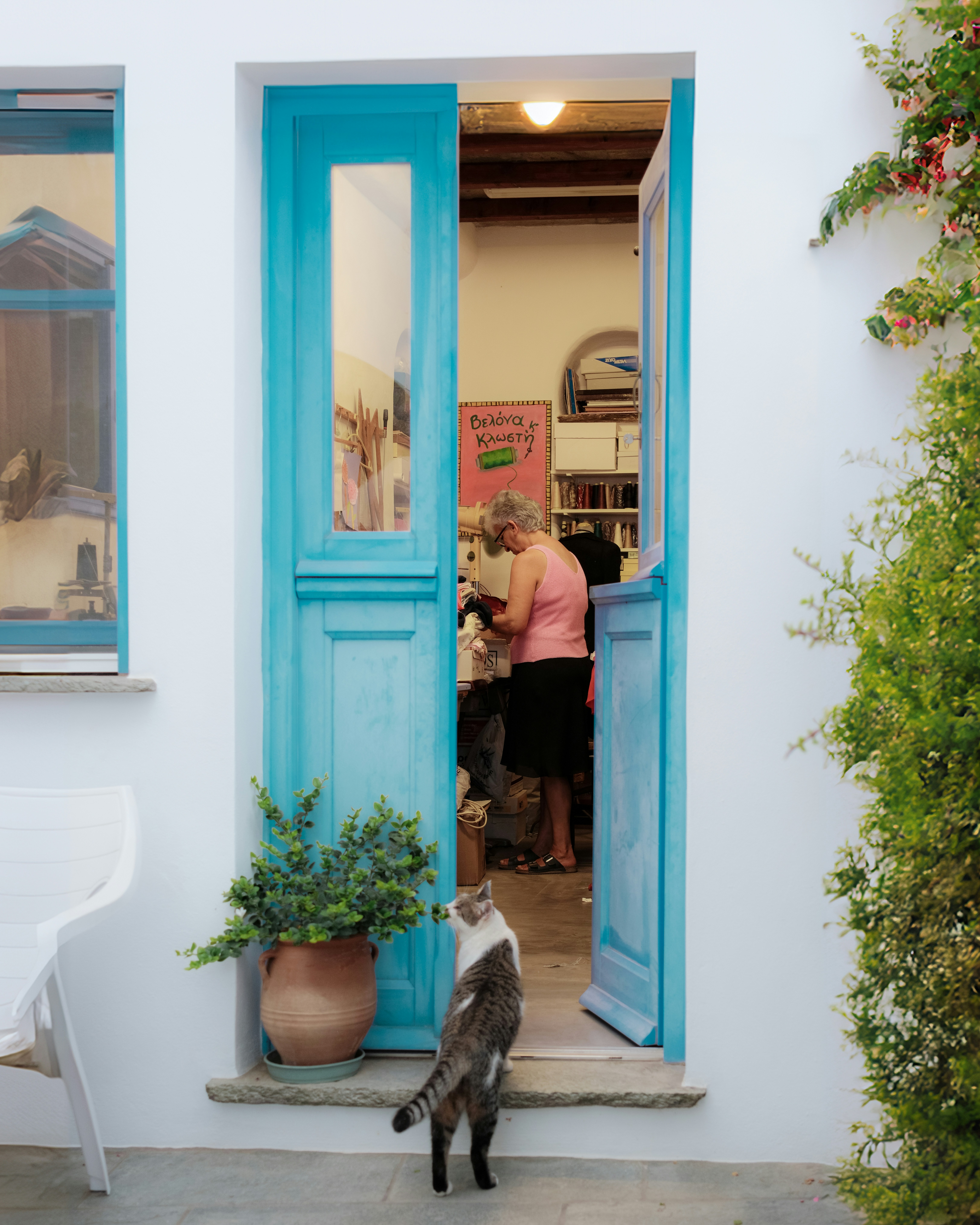 A cat that is standing in front of a door