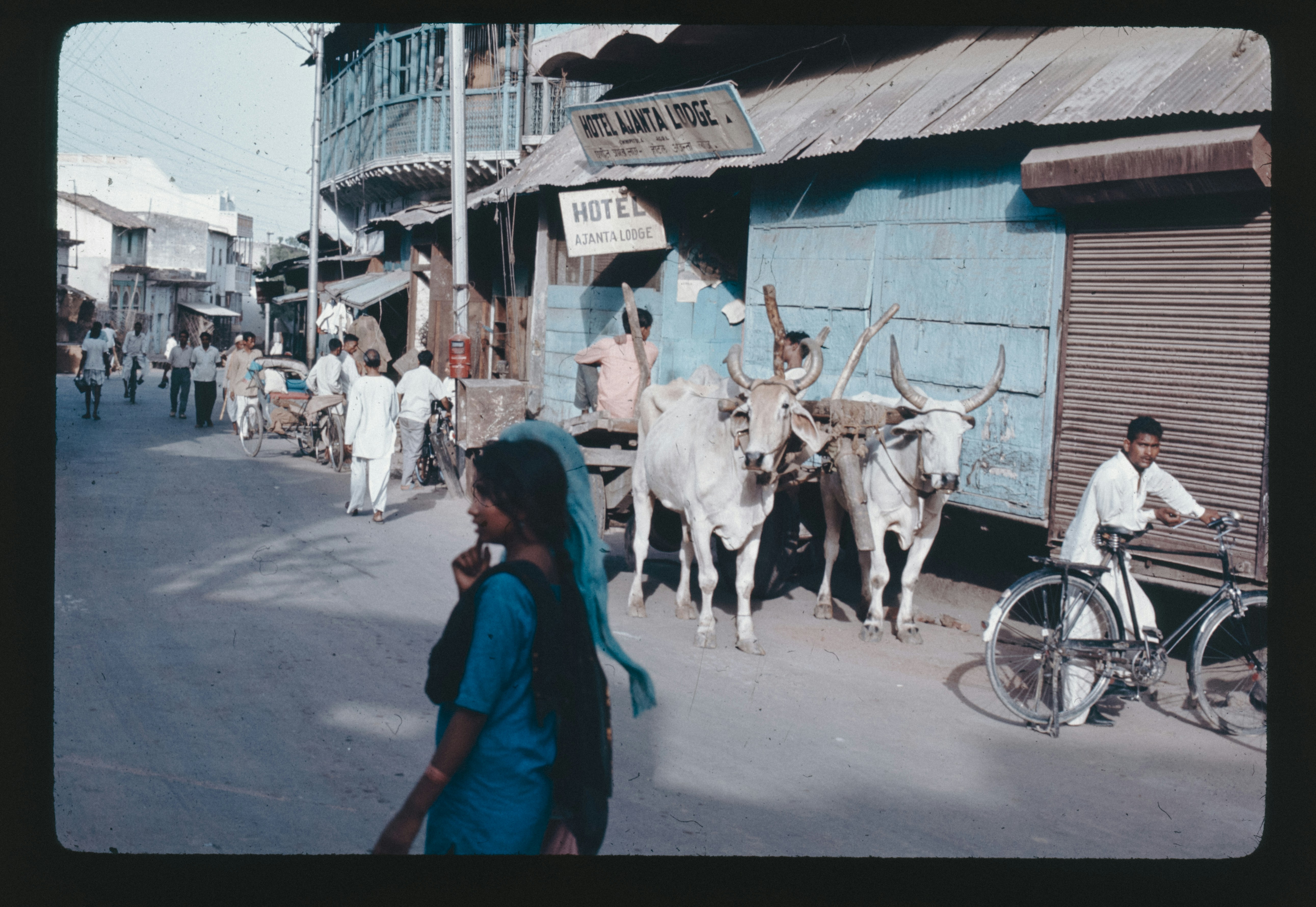Street with cow