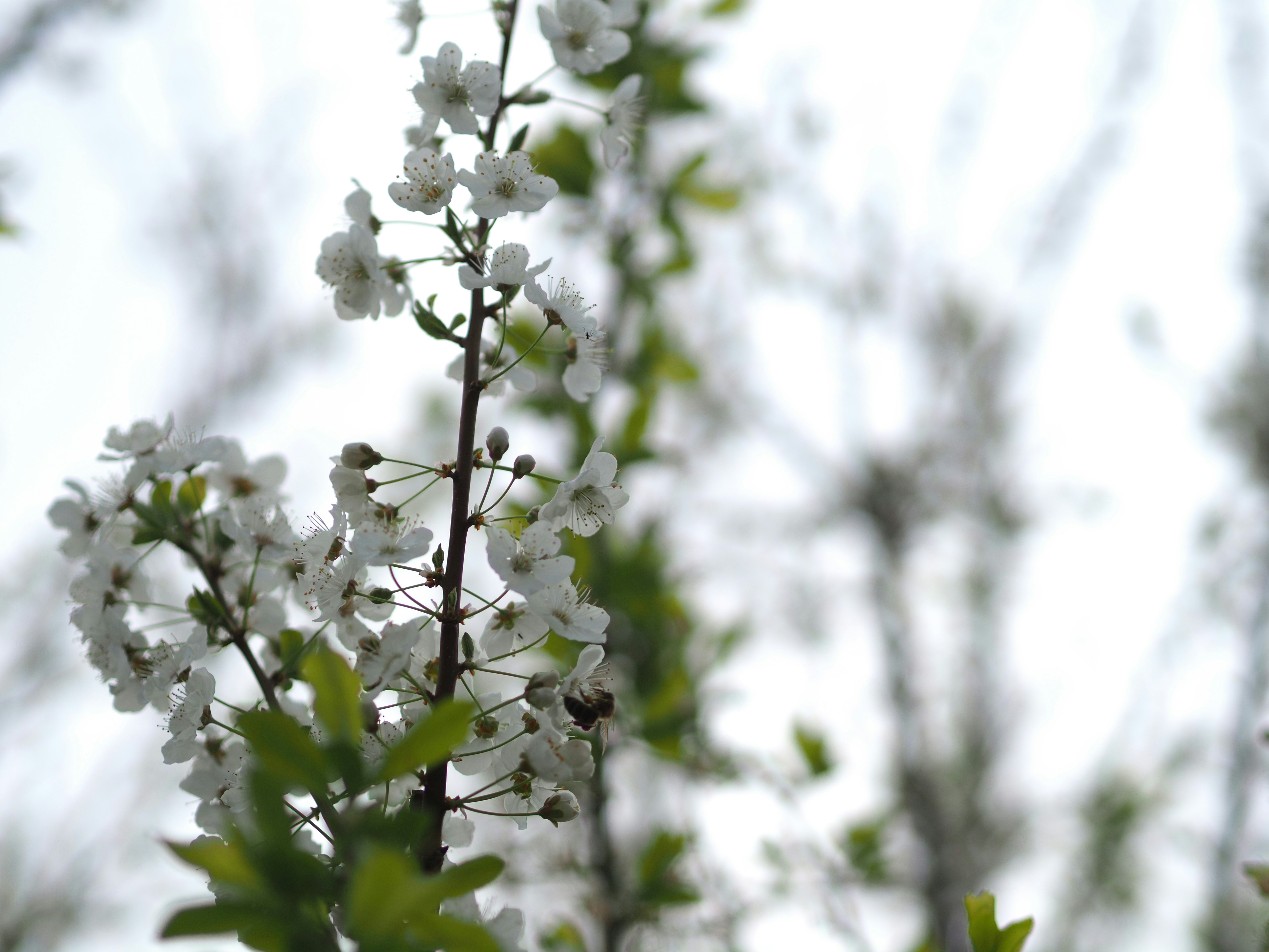 Photo by arnold_zhou