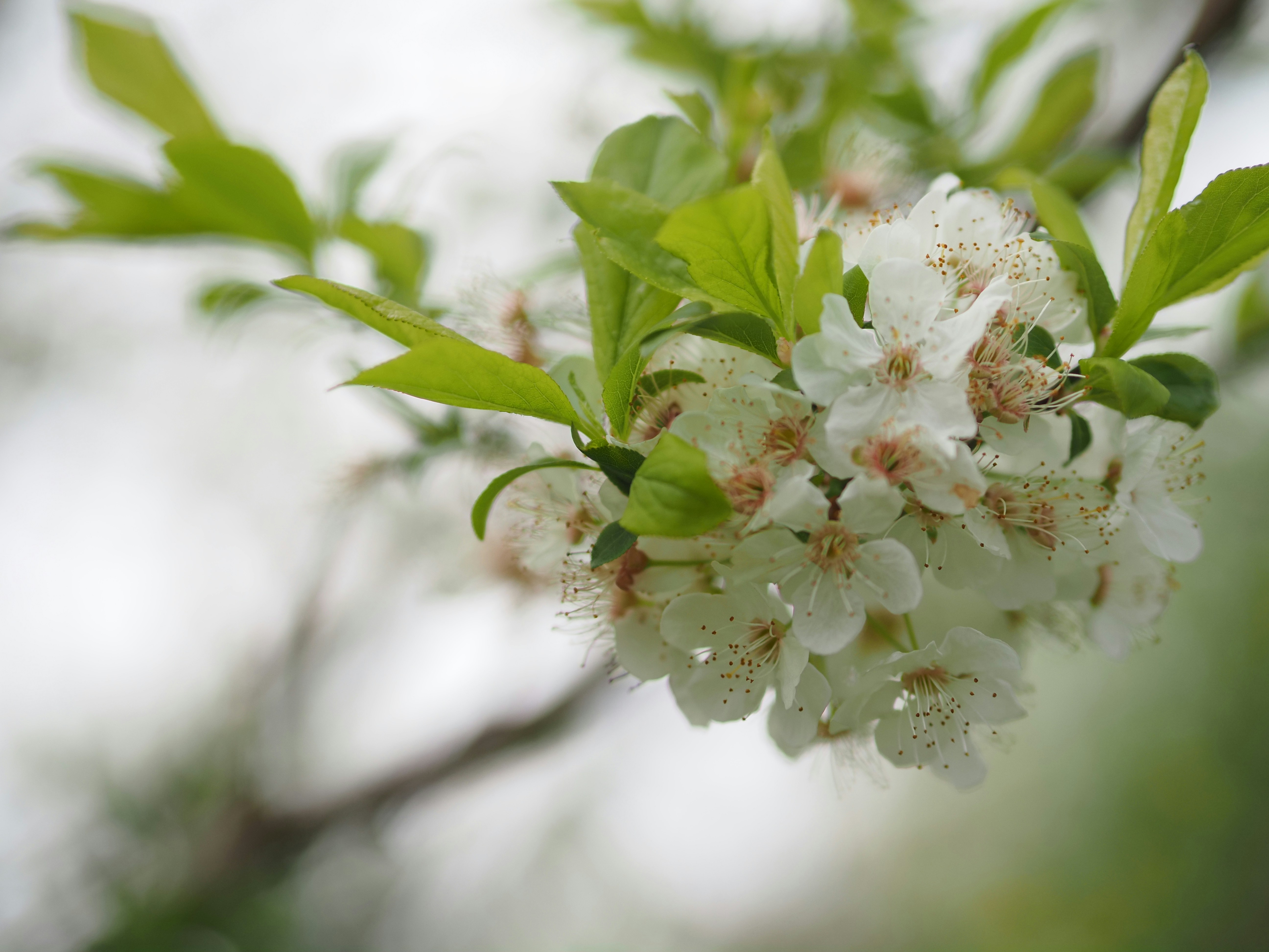 Photo by arnold_zhou