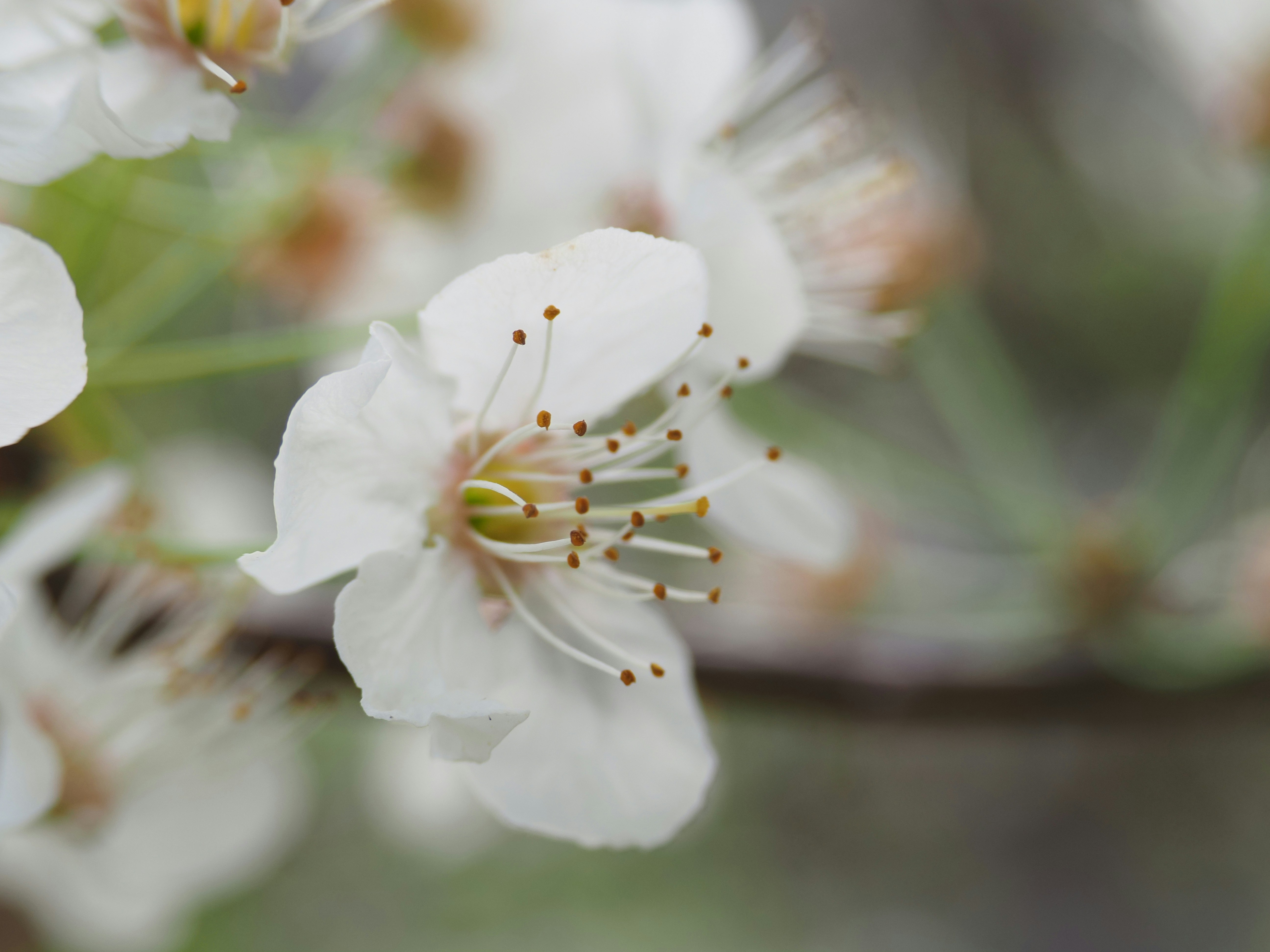 Photo by arnold_zhou