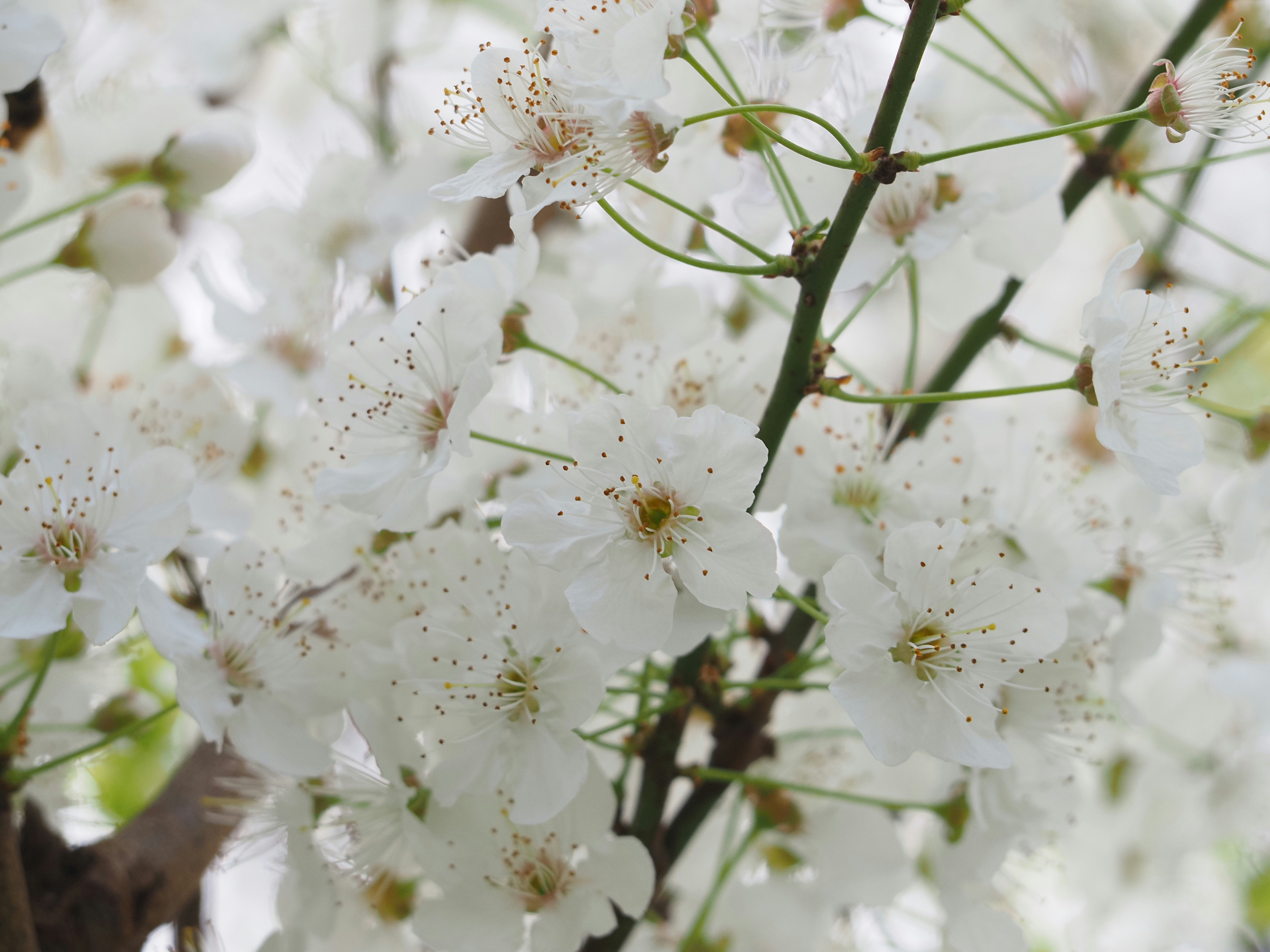 Photo by arnold_zhou