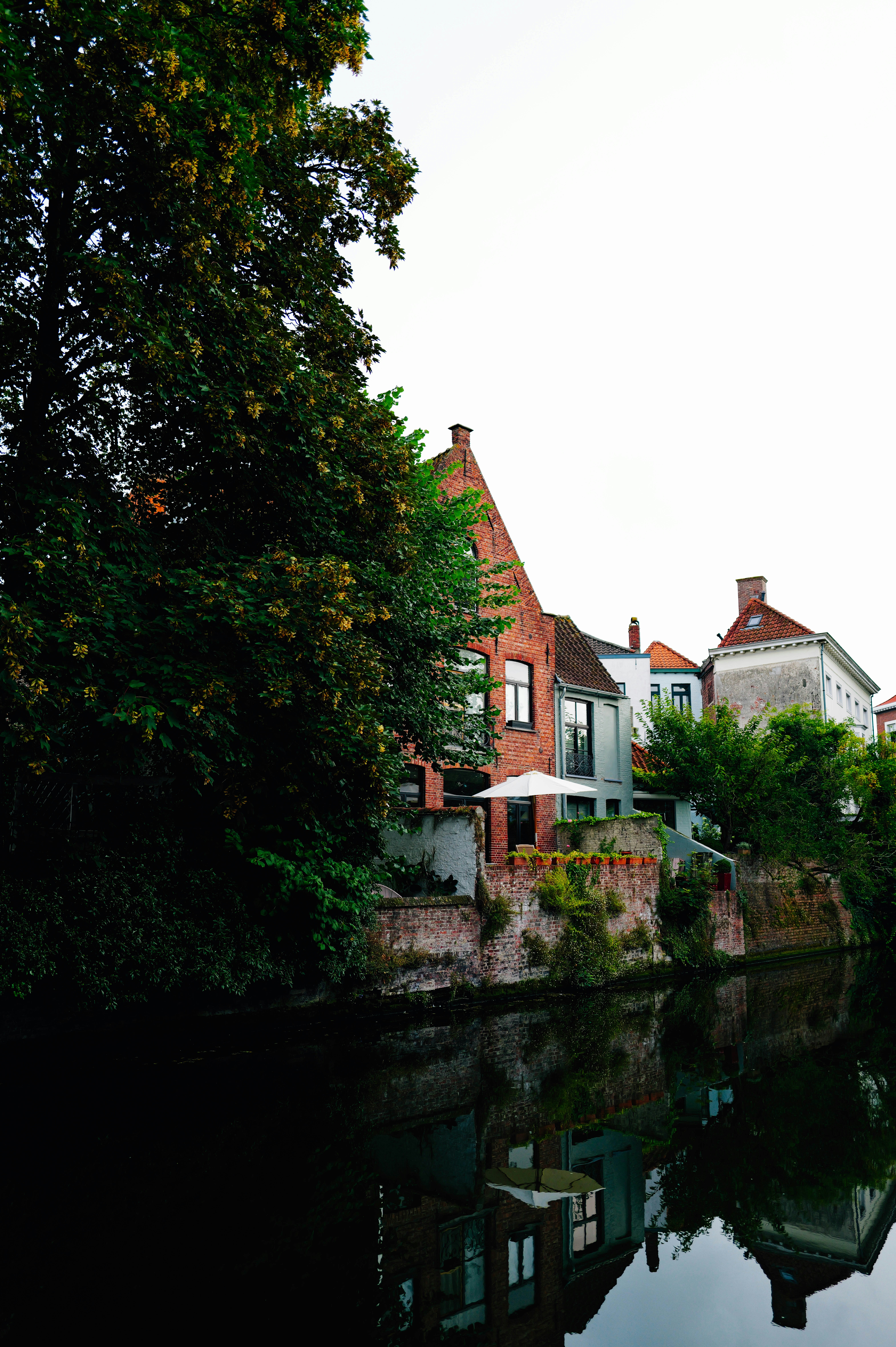 Photo by adrienolichon