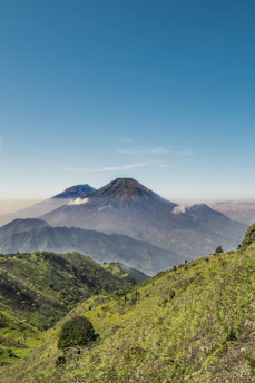 A man riding a bike down a lush green hillside