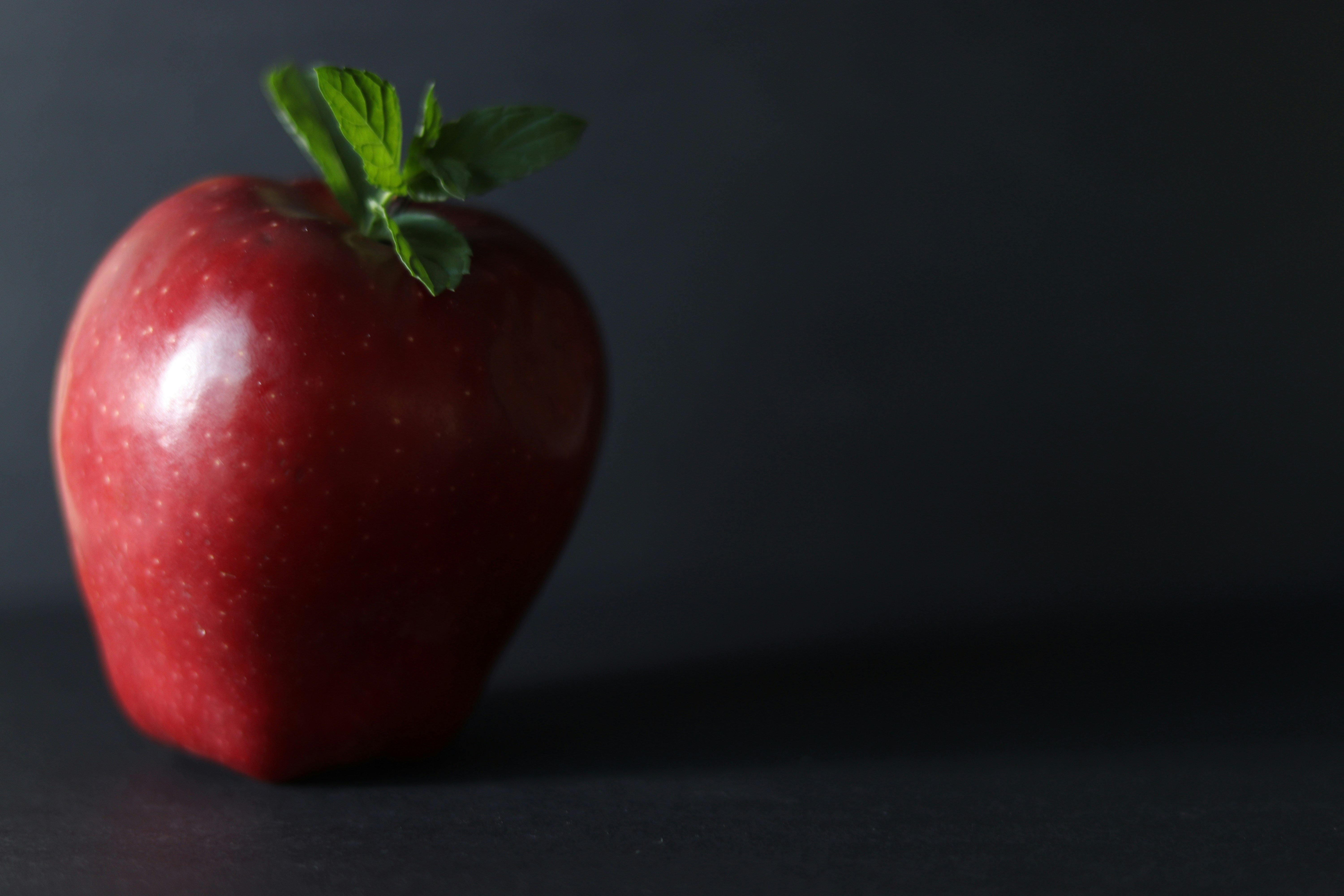 Photo by muna_abudhair