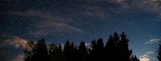 A night sky with stars and clouds and trees