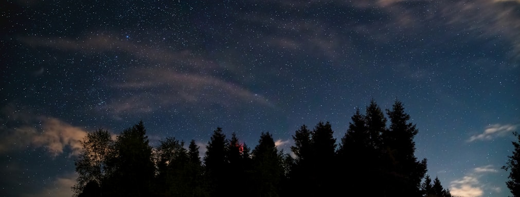 A night sky with stars and clouds and trees