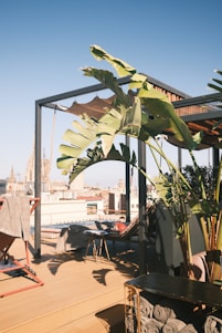 A balcony with a potted plant on it