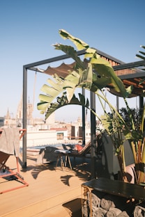 A balcony with a potted plant on it