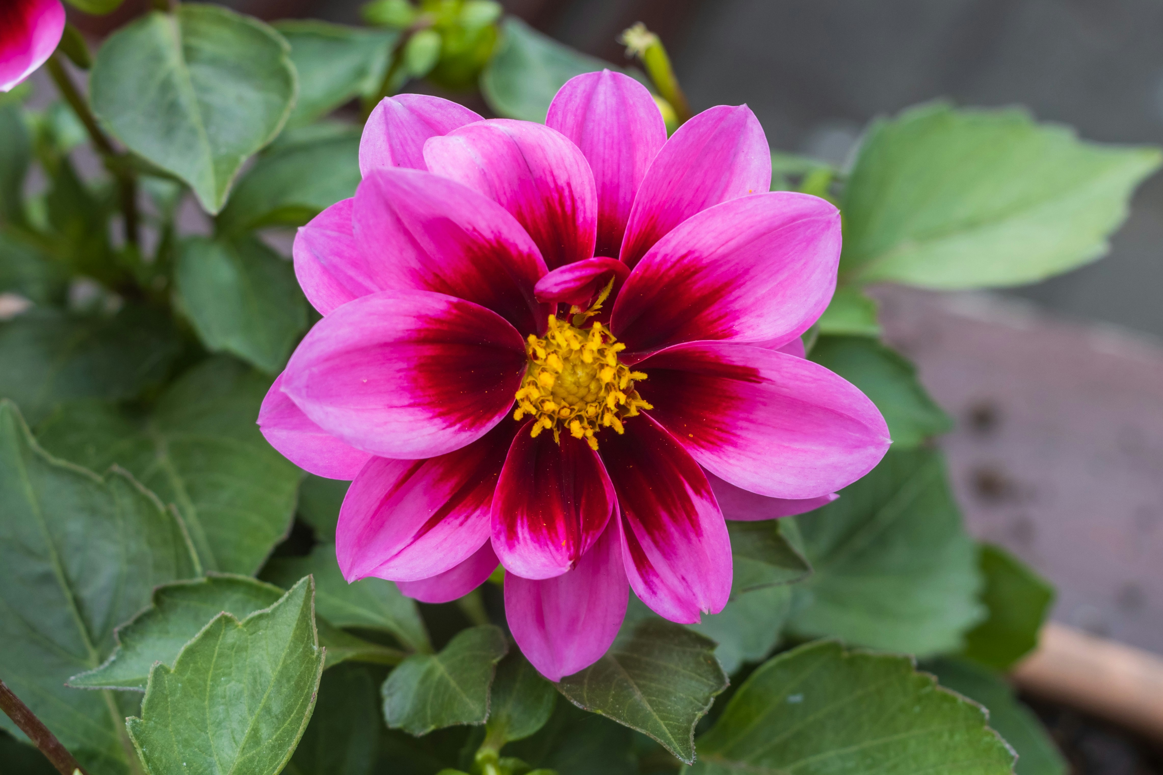 Photo by mechaowlstudios