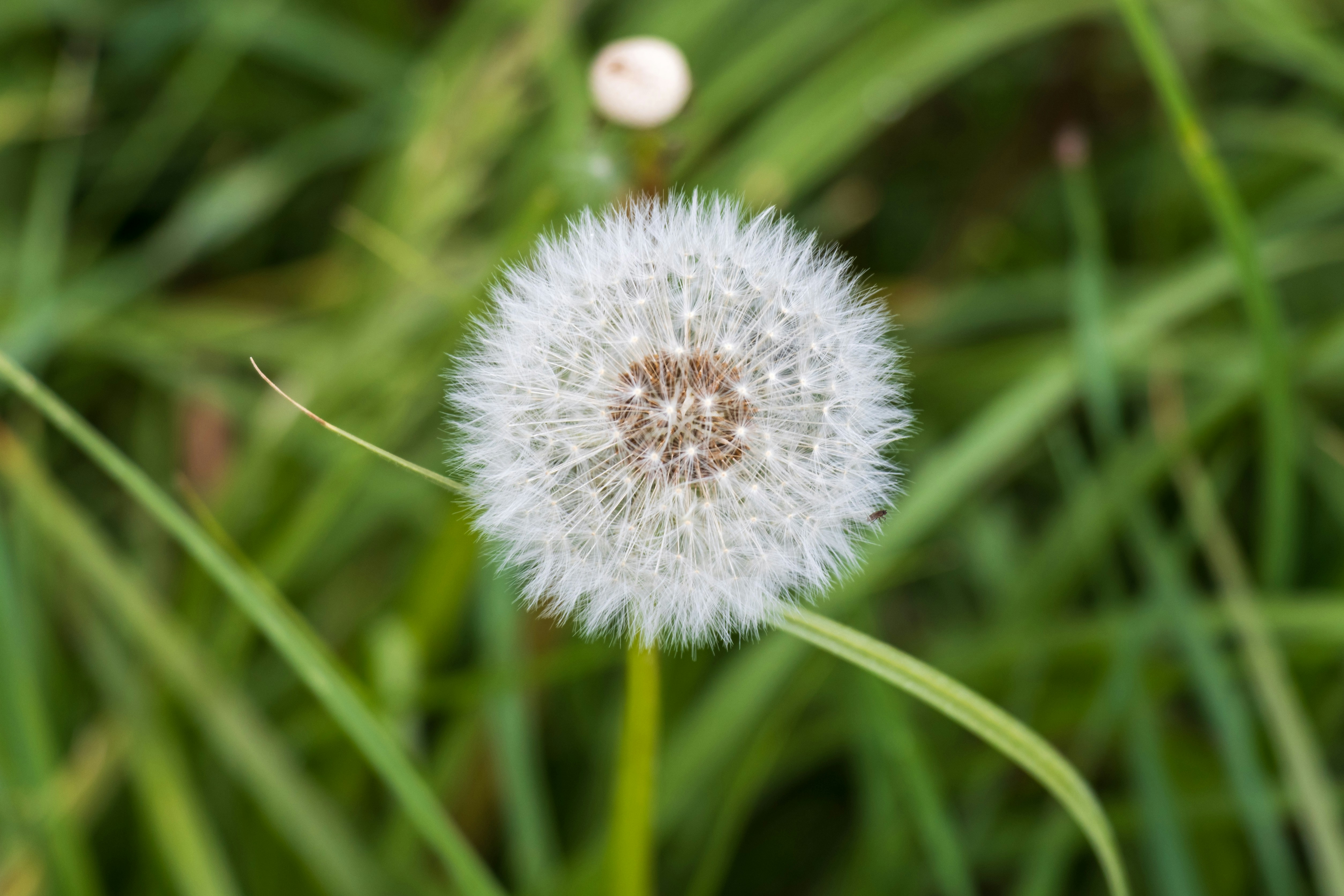 Photo by mechaowlstudios