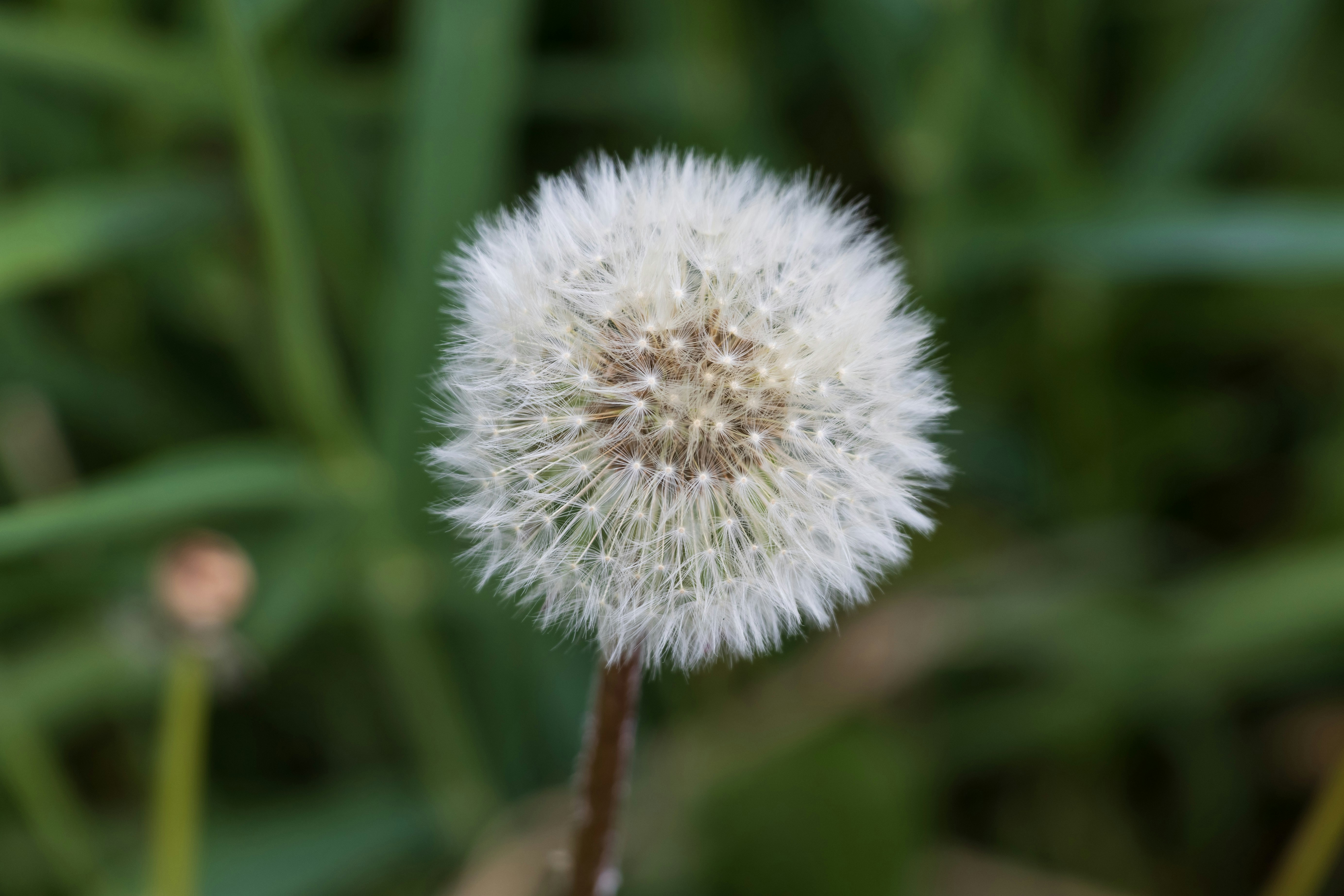 Photo by mechaowlstudios