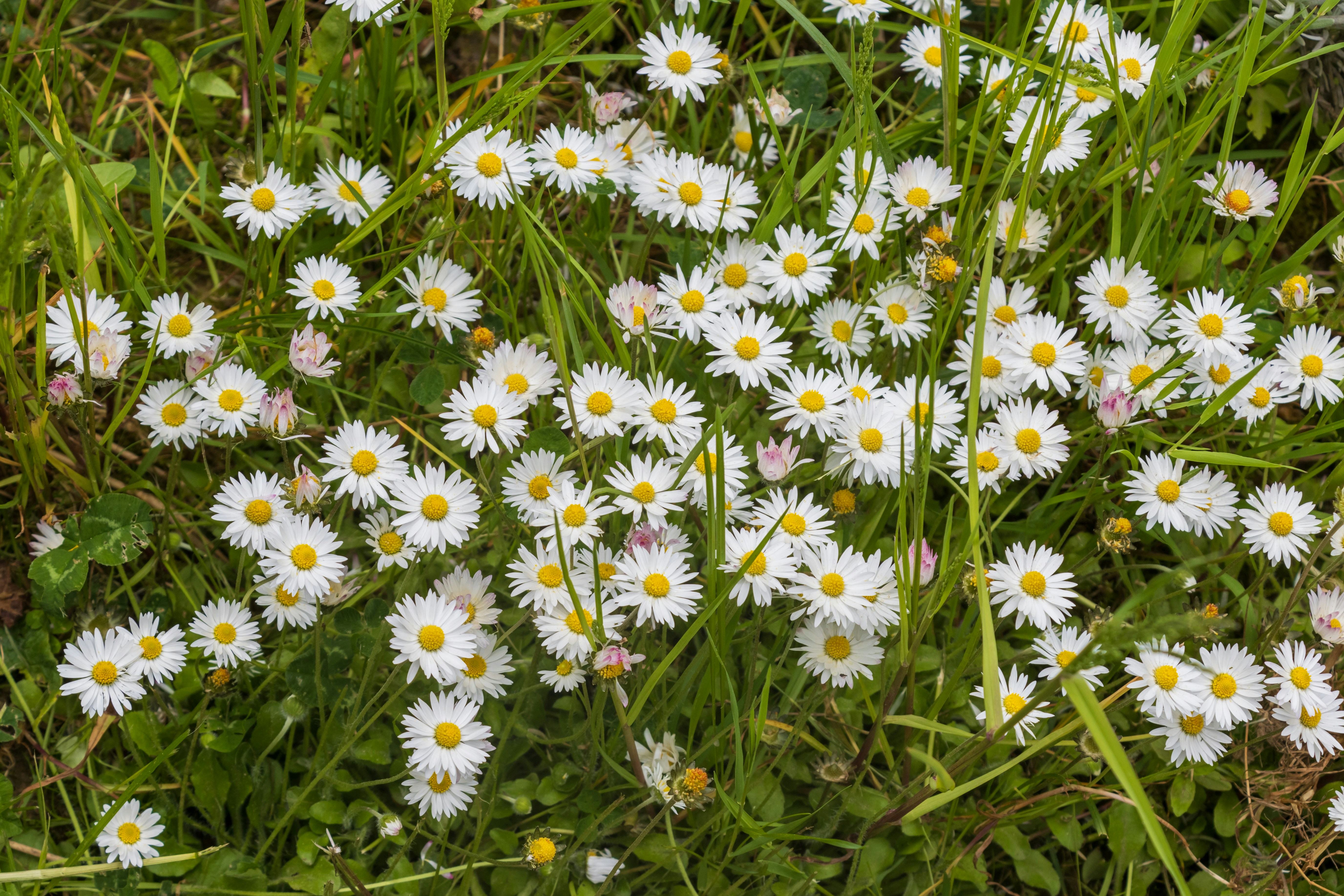 Photo by mechaowlstudios