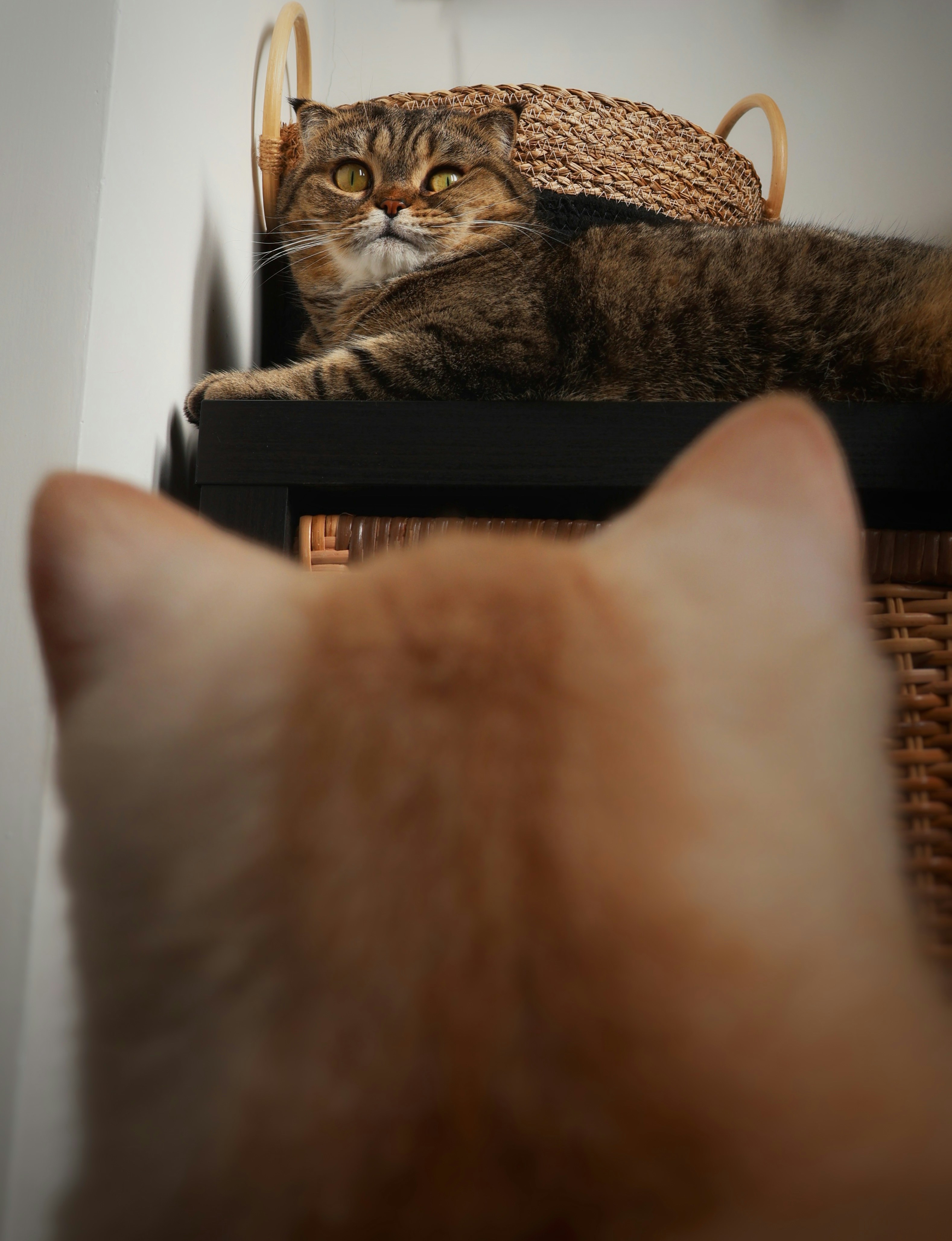 [hikaye] : Tatmin edici olmayan intikam