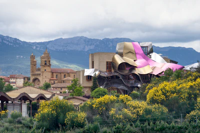 A view of a city with mountains in the background