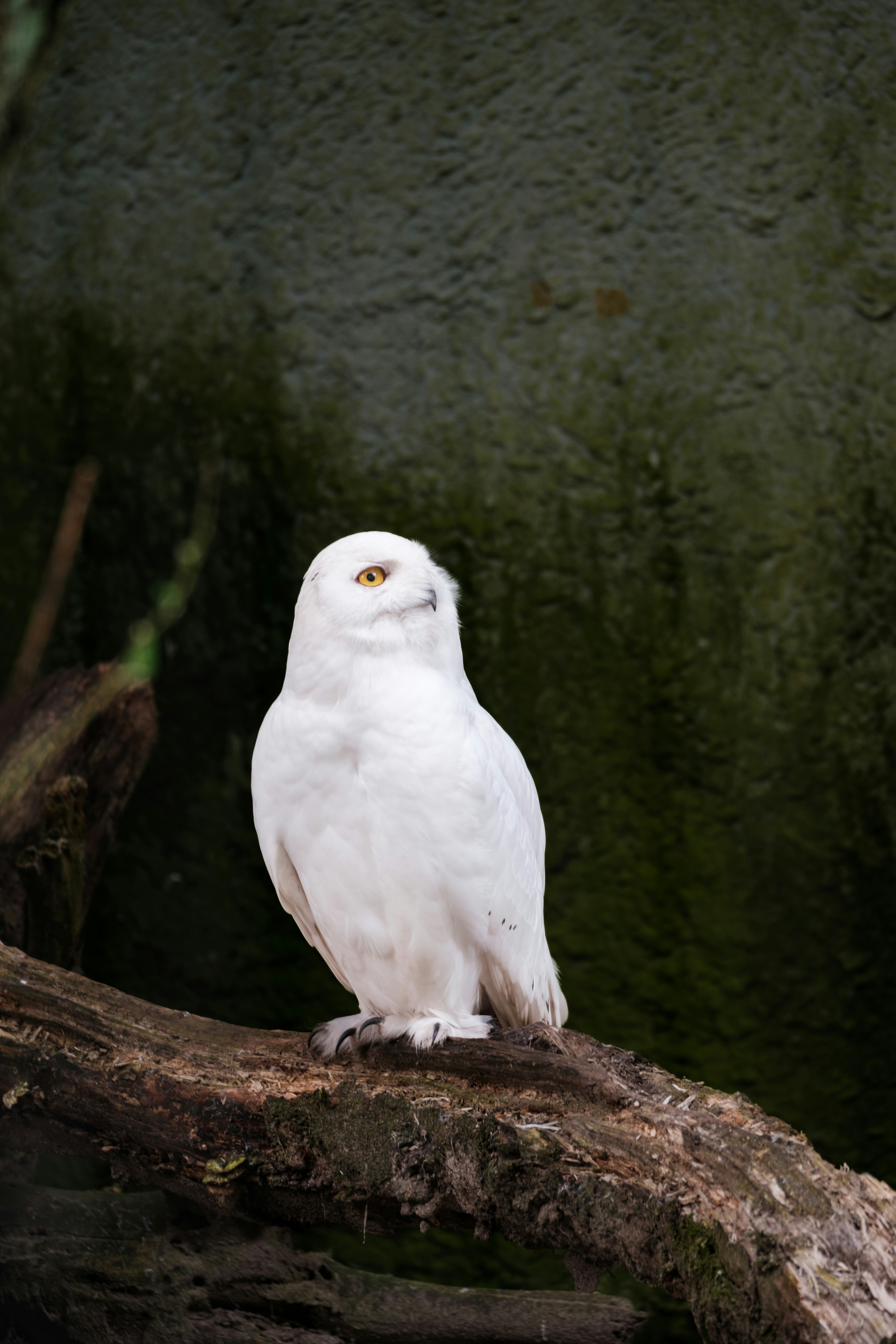 Photo by haberdoedas2