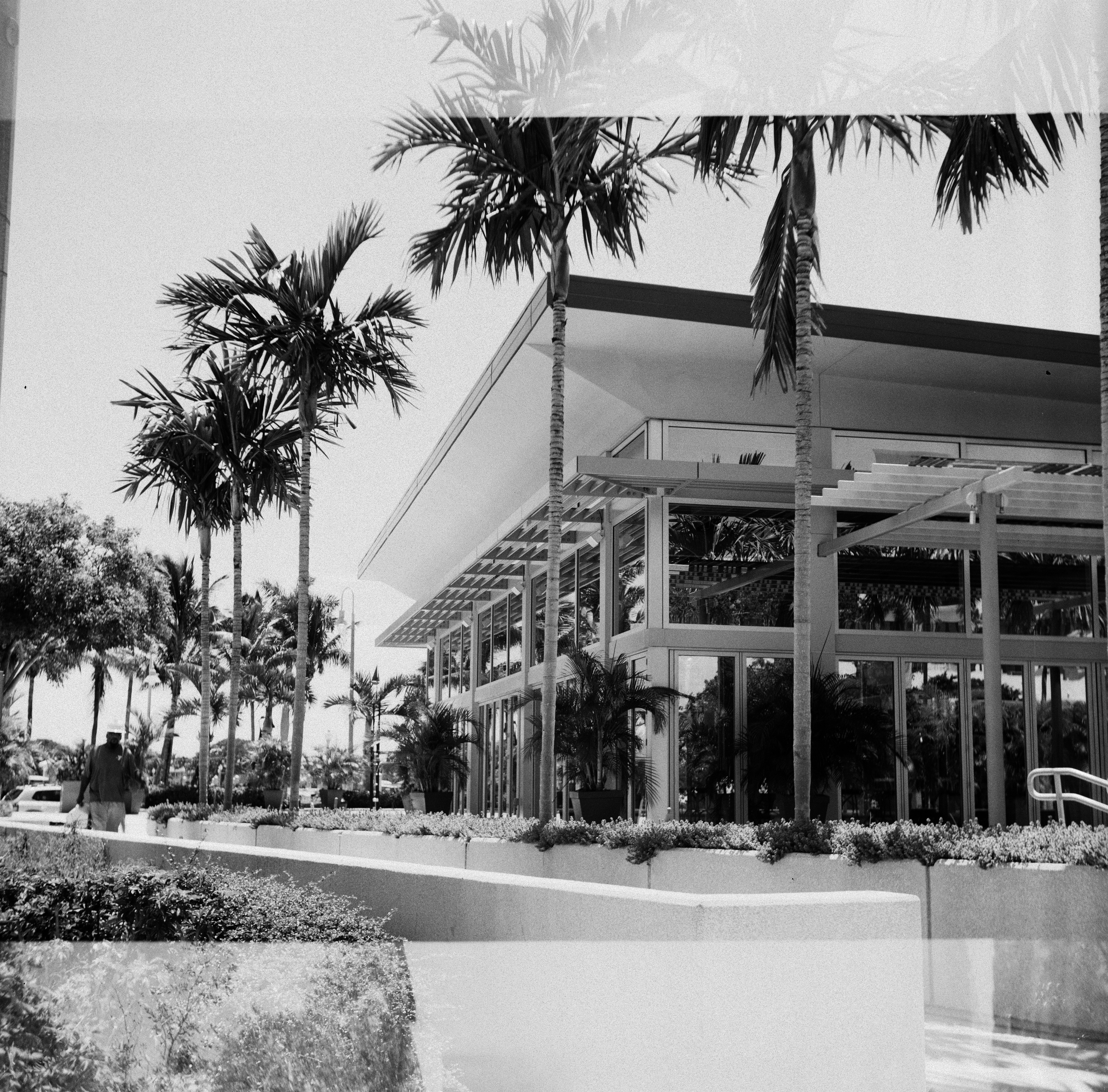 A black and white photo of a building with palm trees
