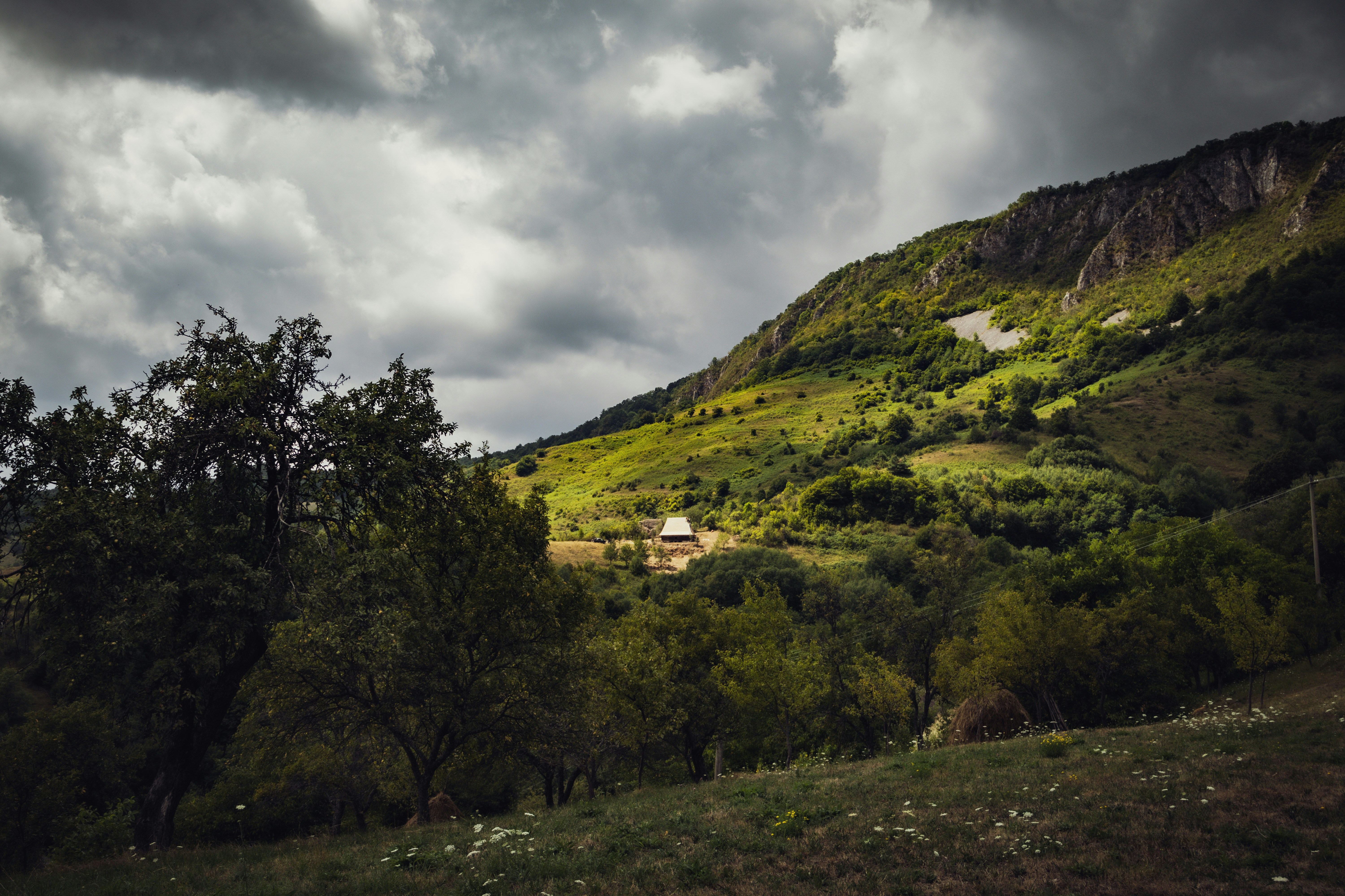 Photo by denisatrif