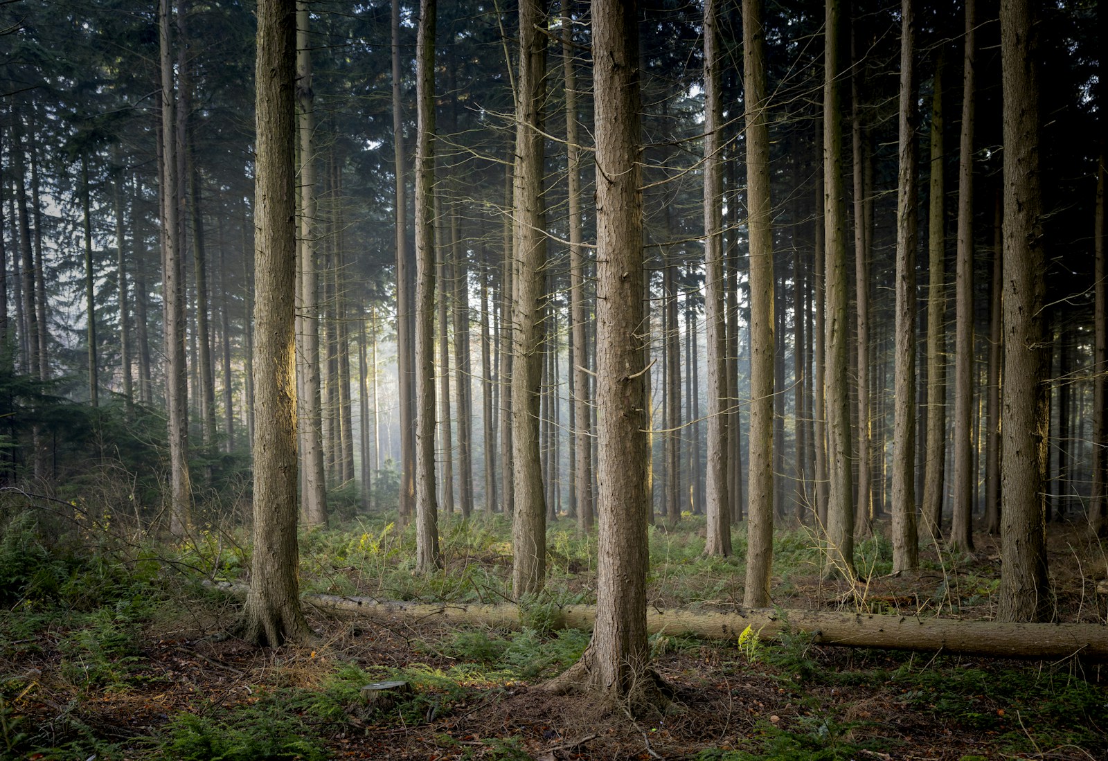 Why Clarkson, Mississauga Is One of the Most Undervalued Luxury Real Estate Markets in the GTA