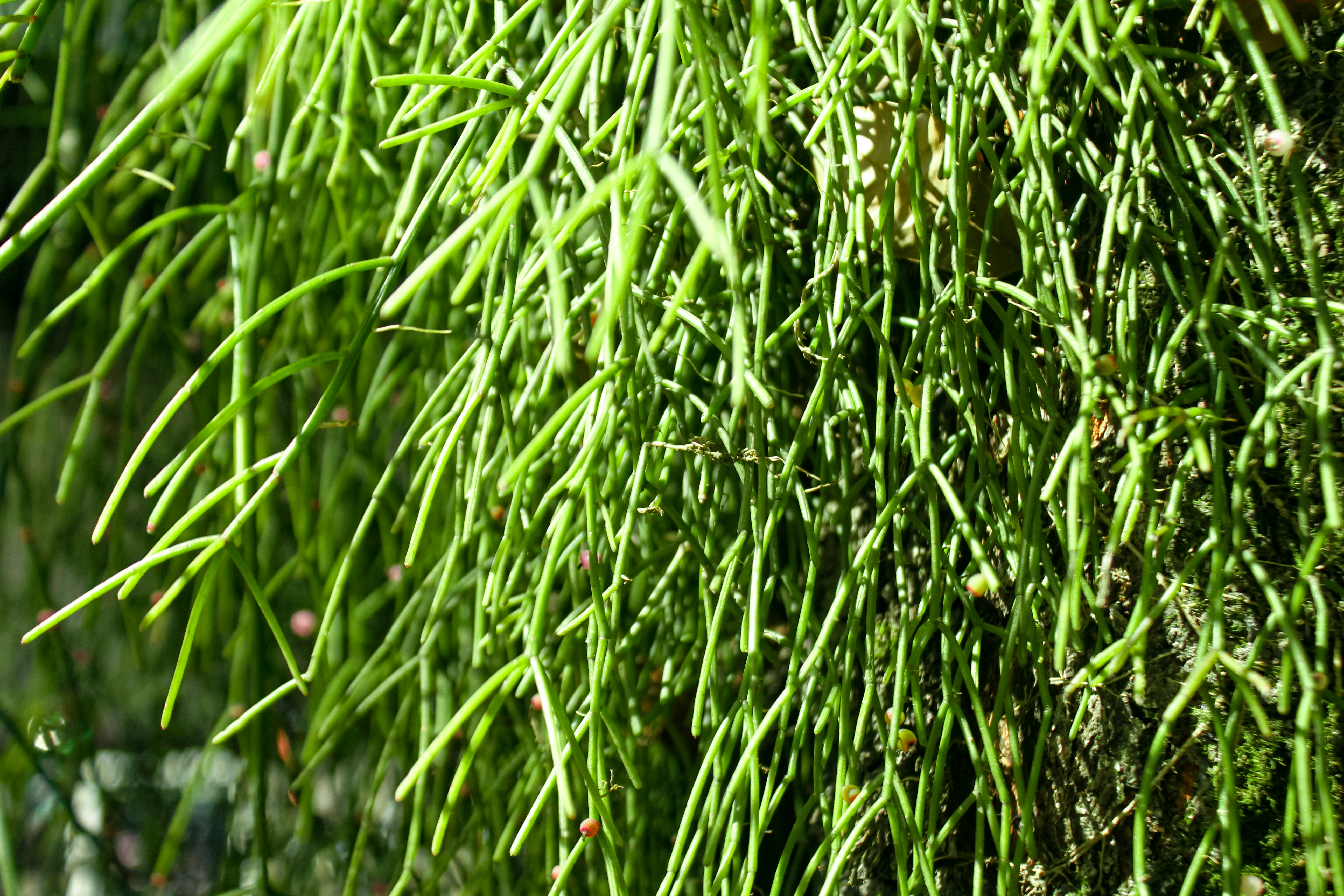 Photo by najoi_designer