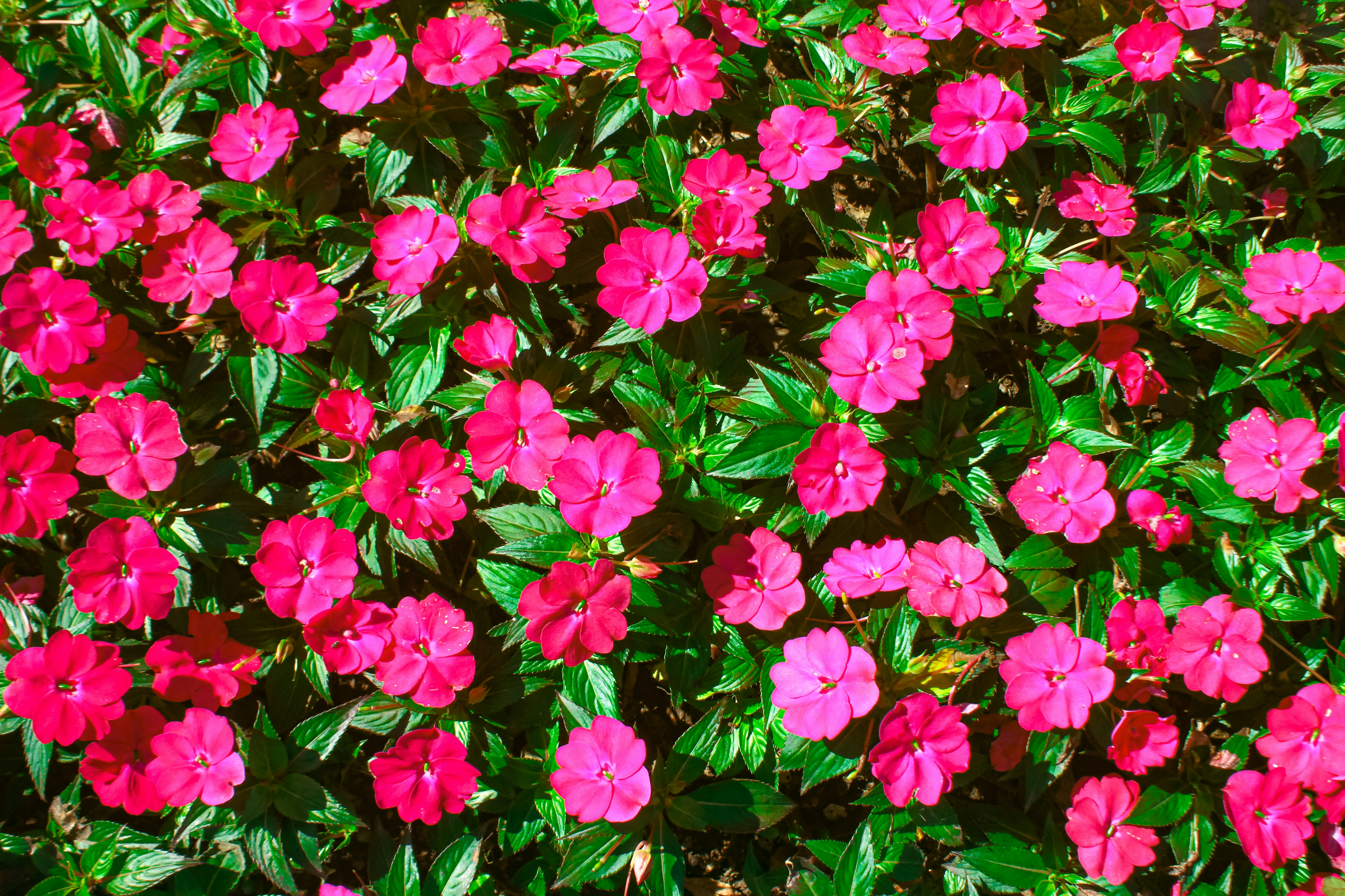 Photo by najoi_designer