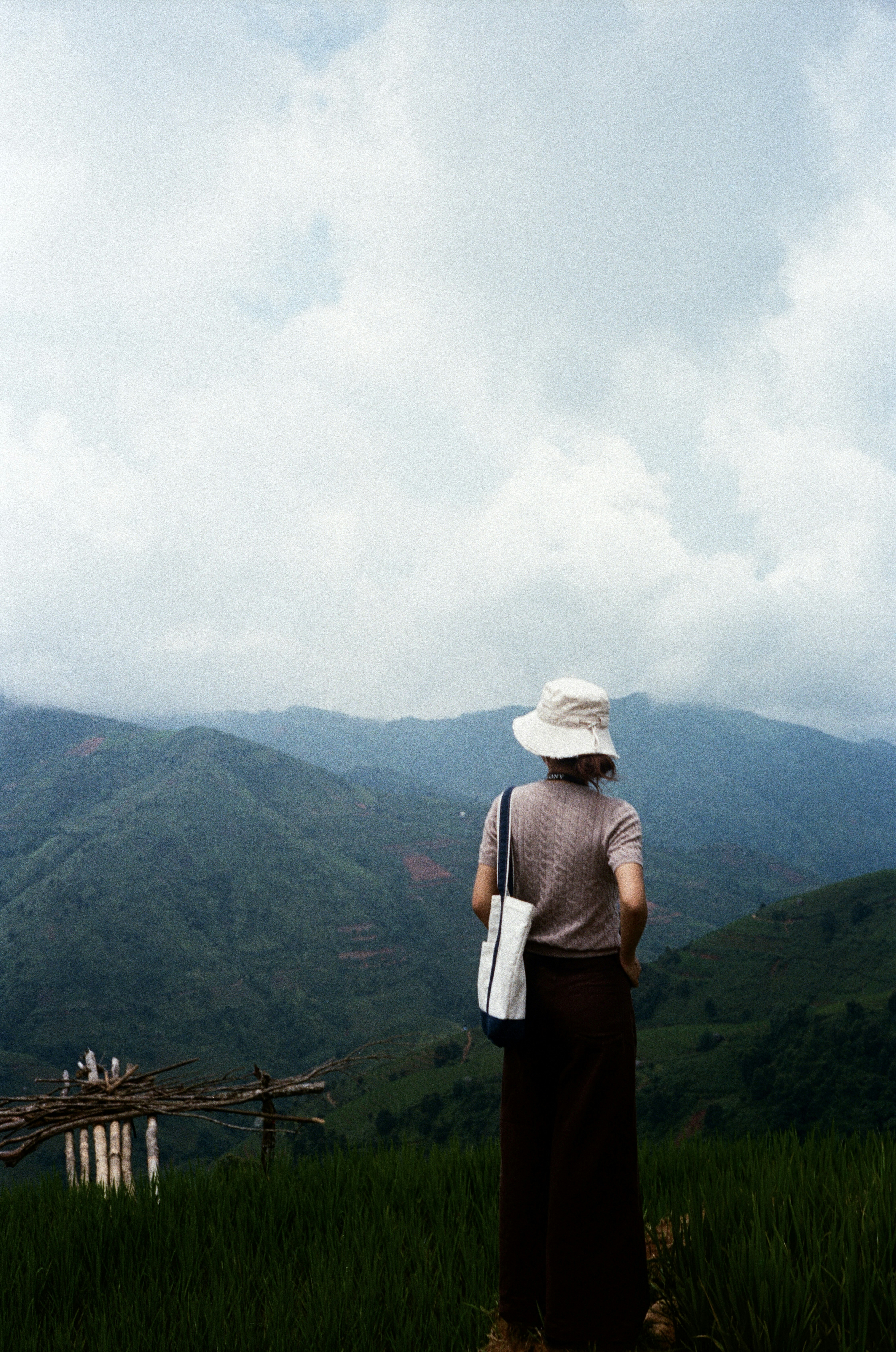 Photo by donguyenkhanhs