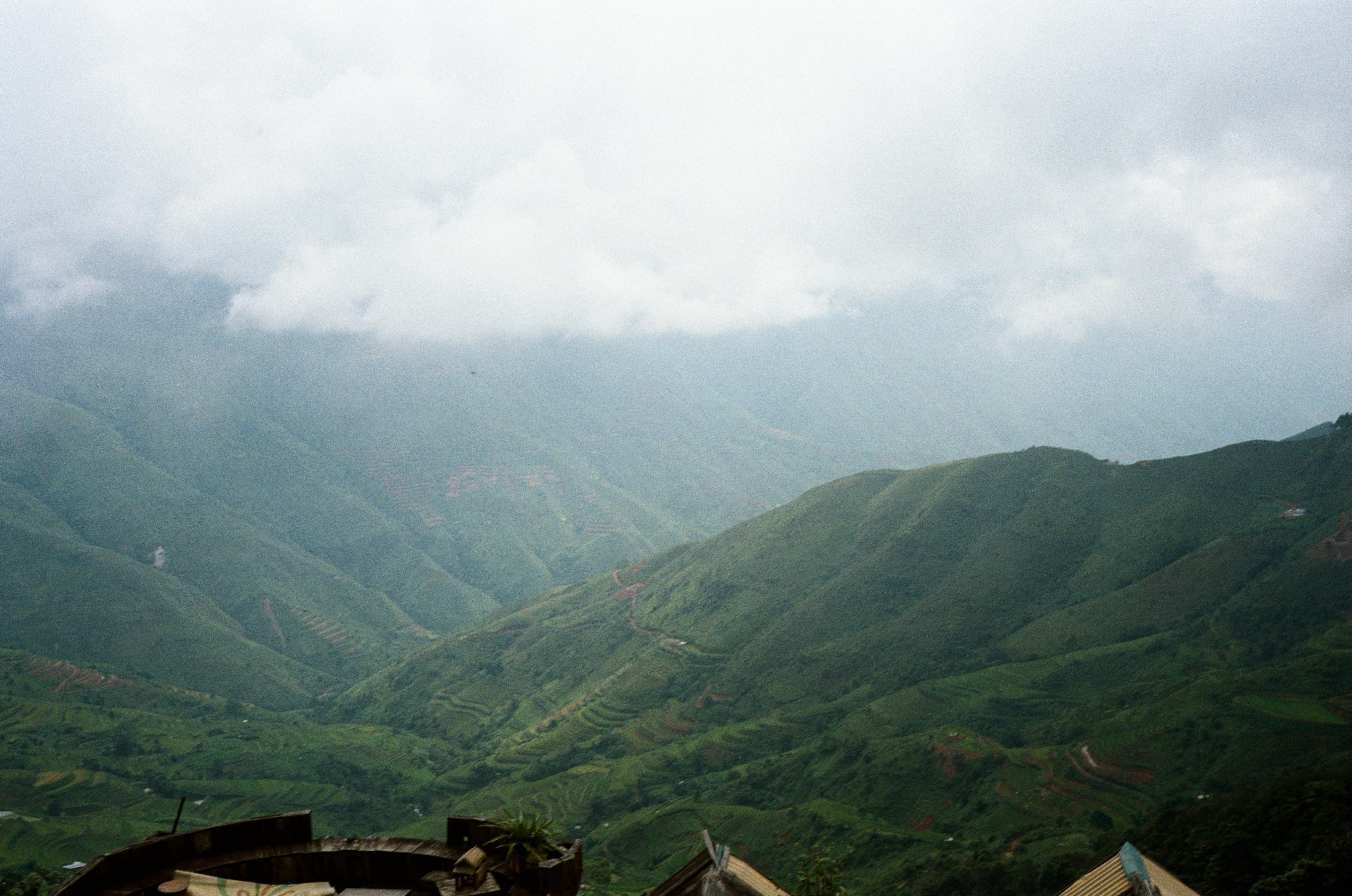 Photo by donguyenkhanhs