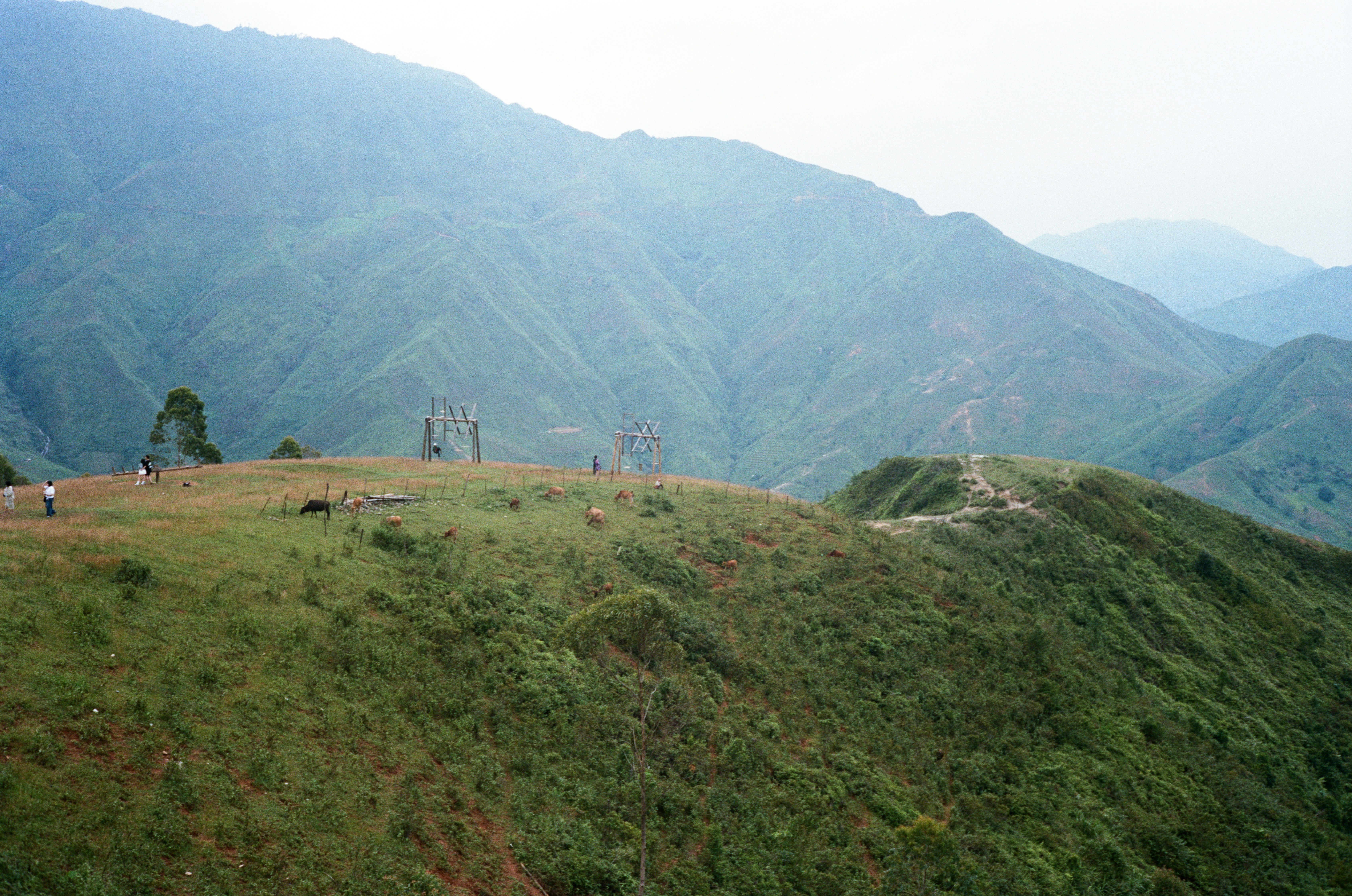Photo by donguyenkhanhs