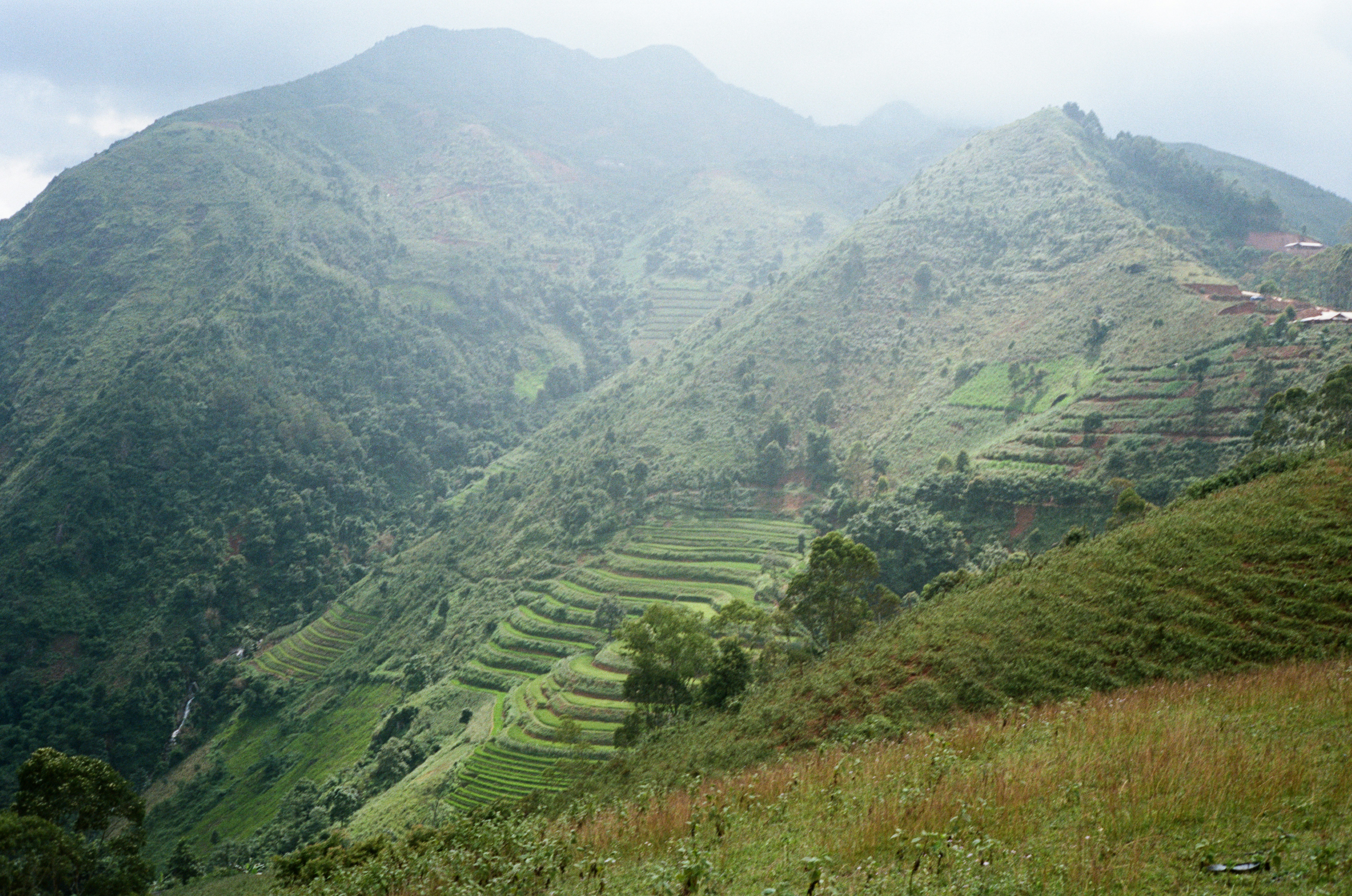 Photo by donguyenkhanhs