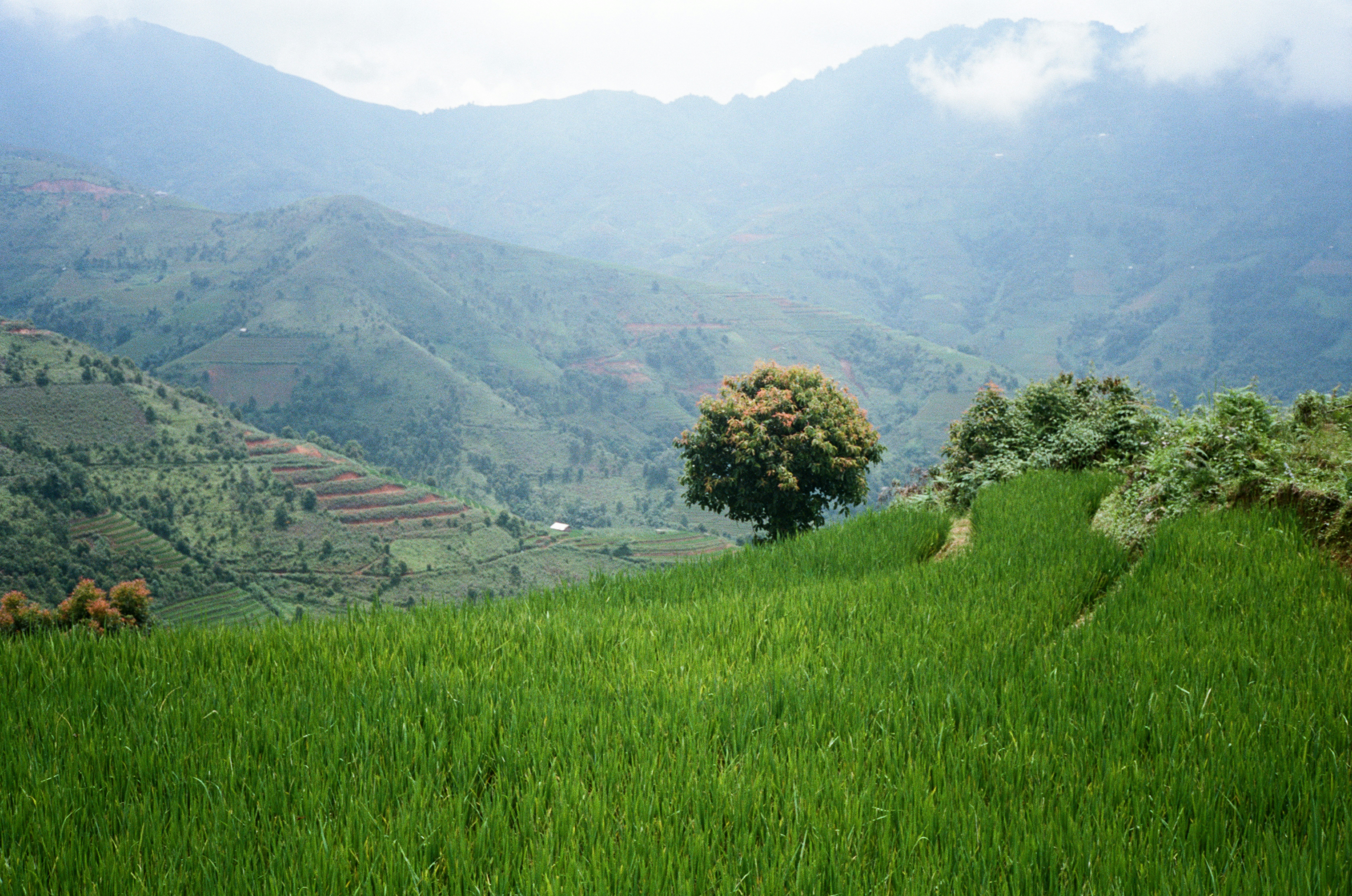 Photo by donguyenkhanhs