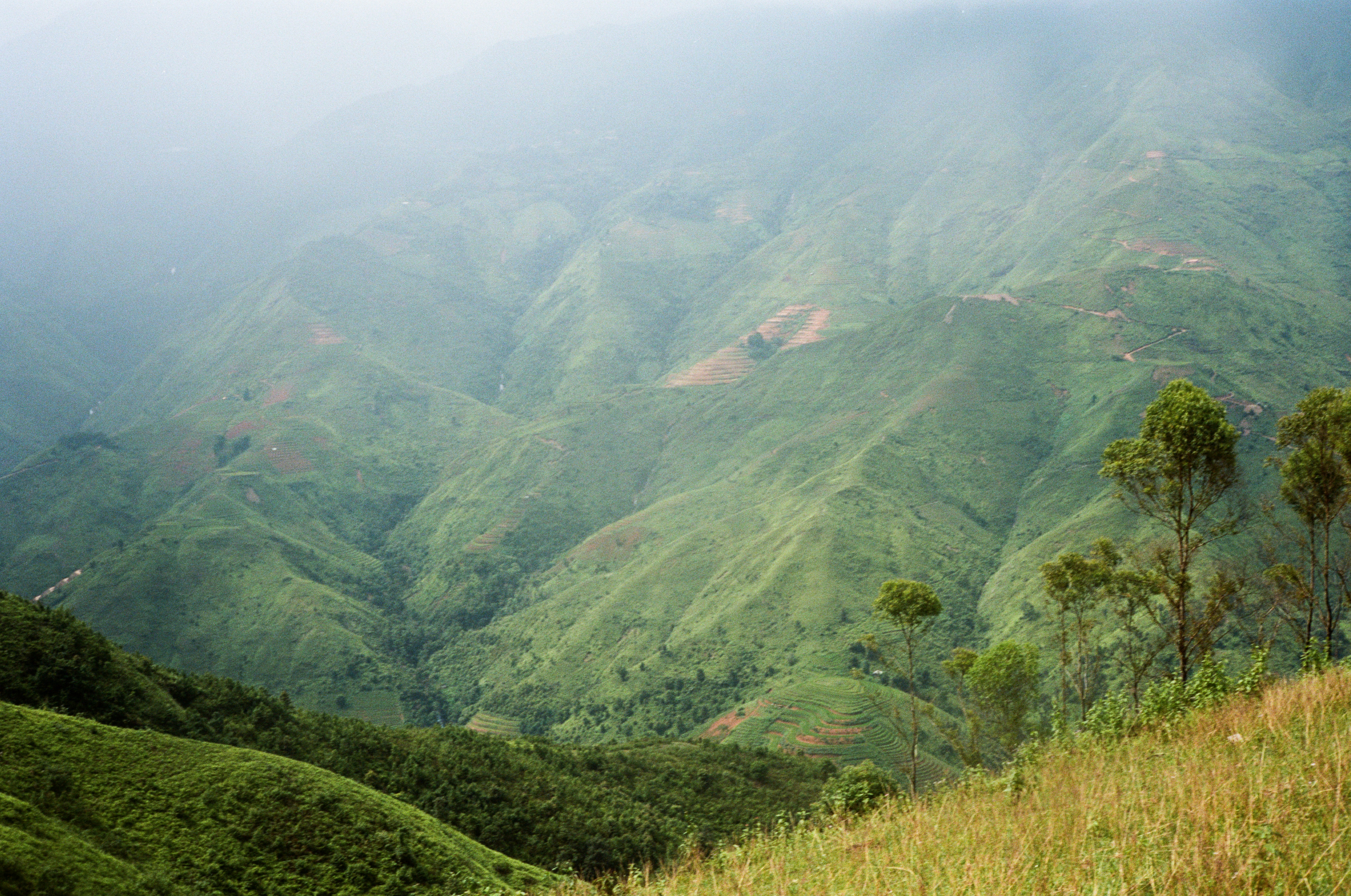 Photo by donguyenkhanhs