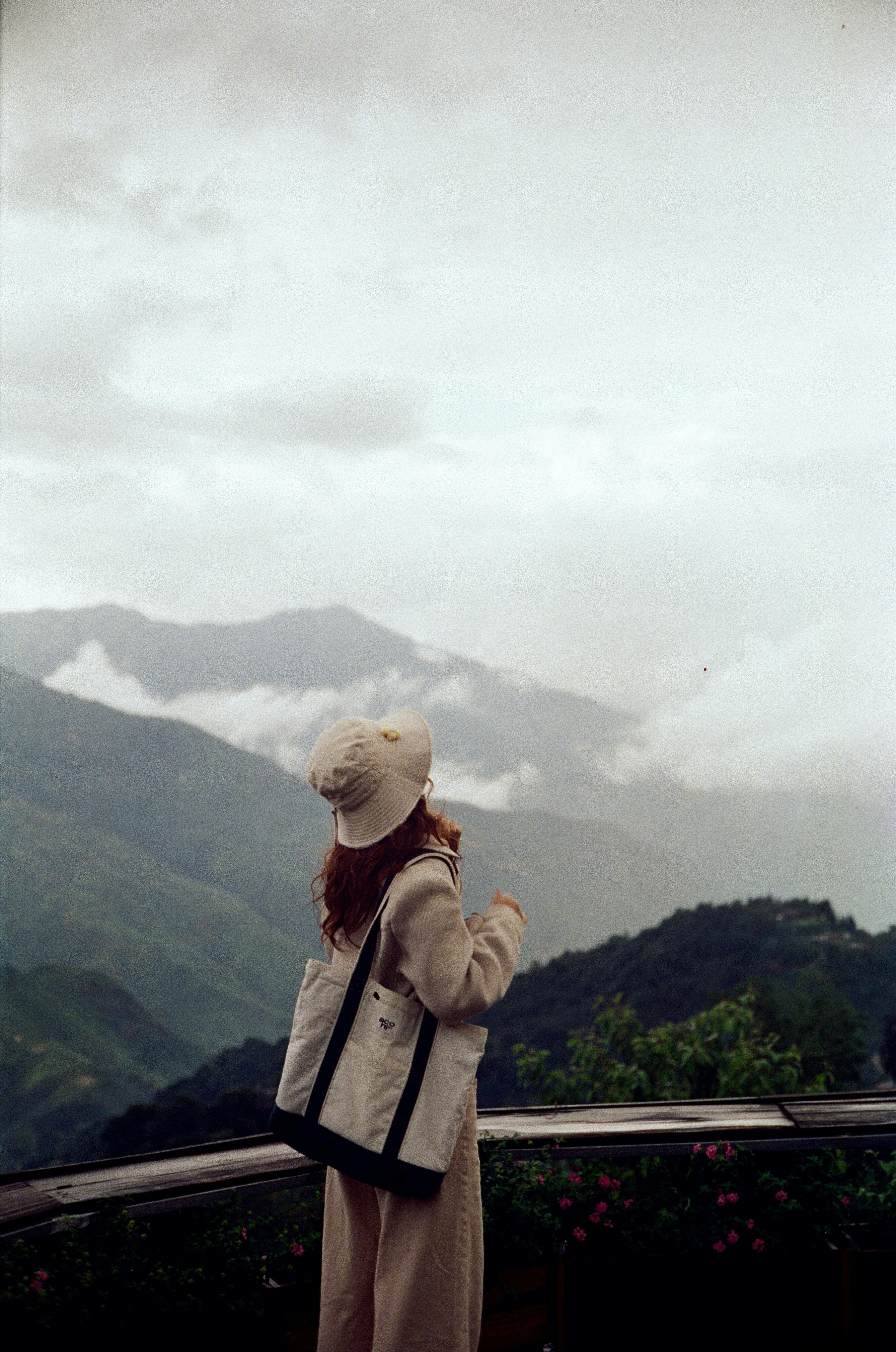 Photo by donguyenkhanhs
