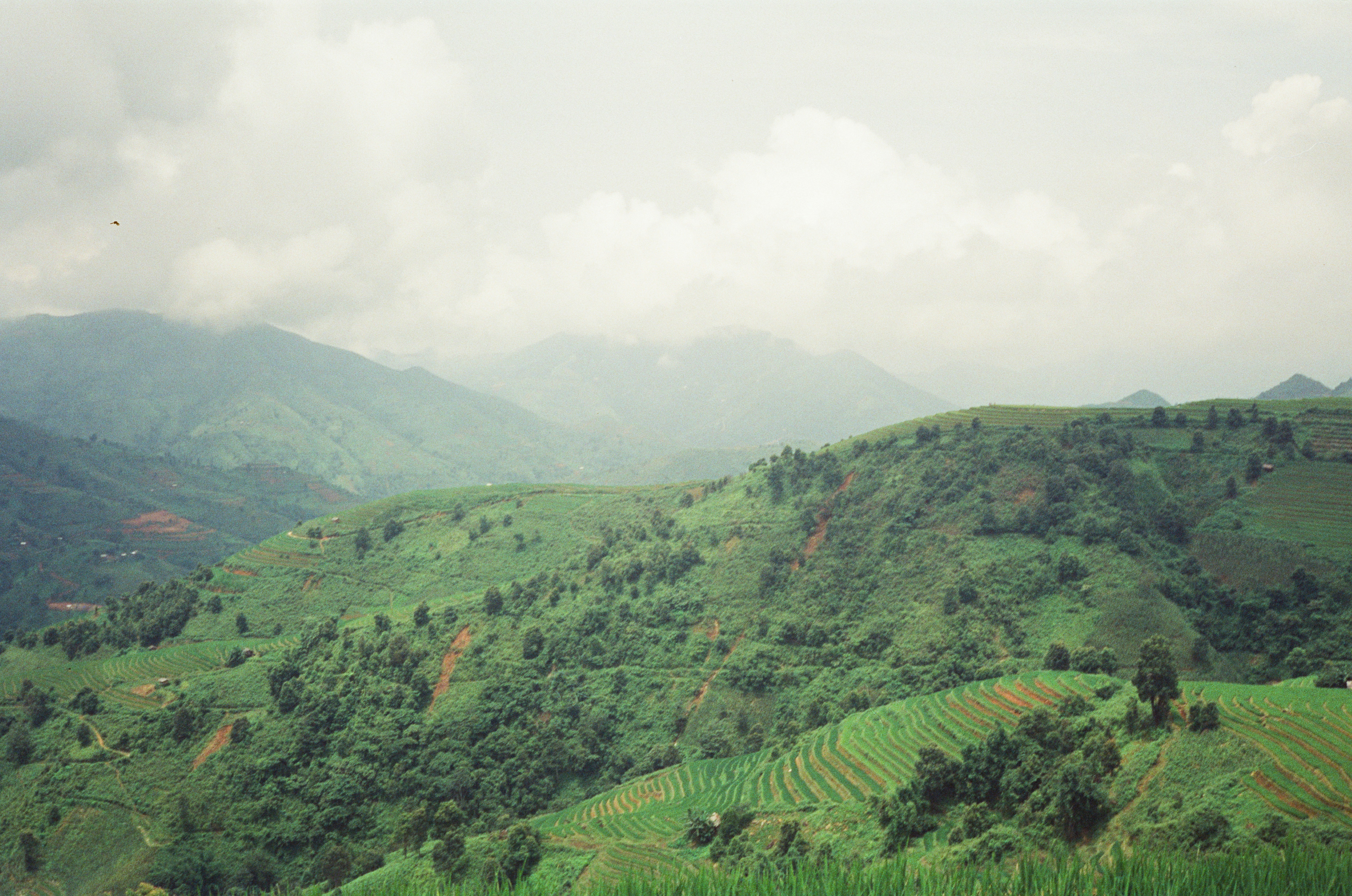 Photo by donguyenkhanhs