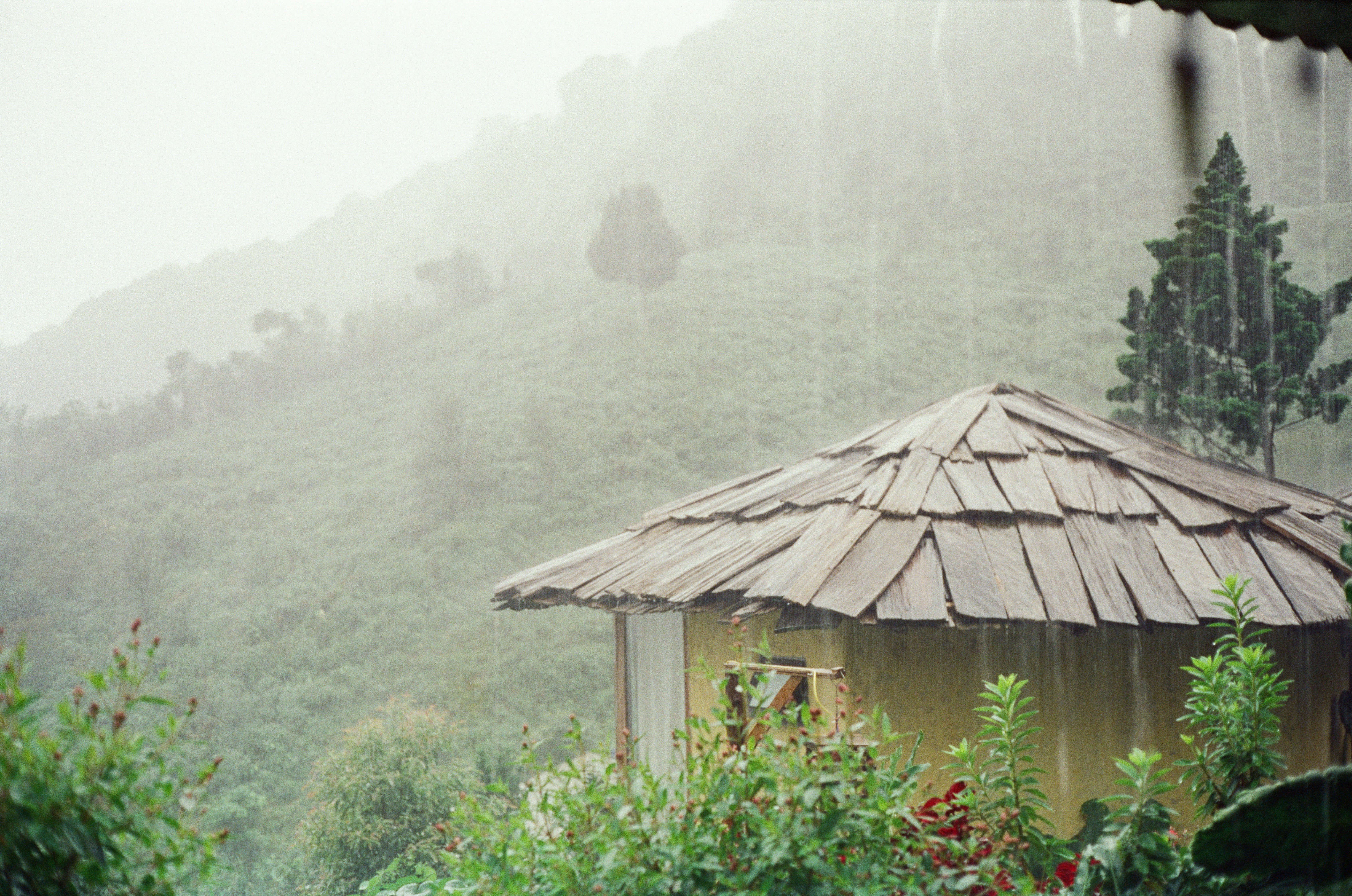 Photo by donguyenkhanhs